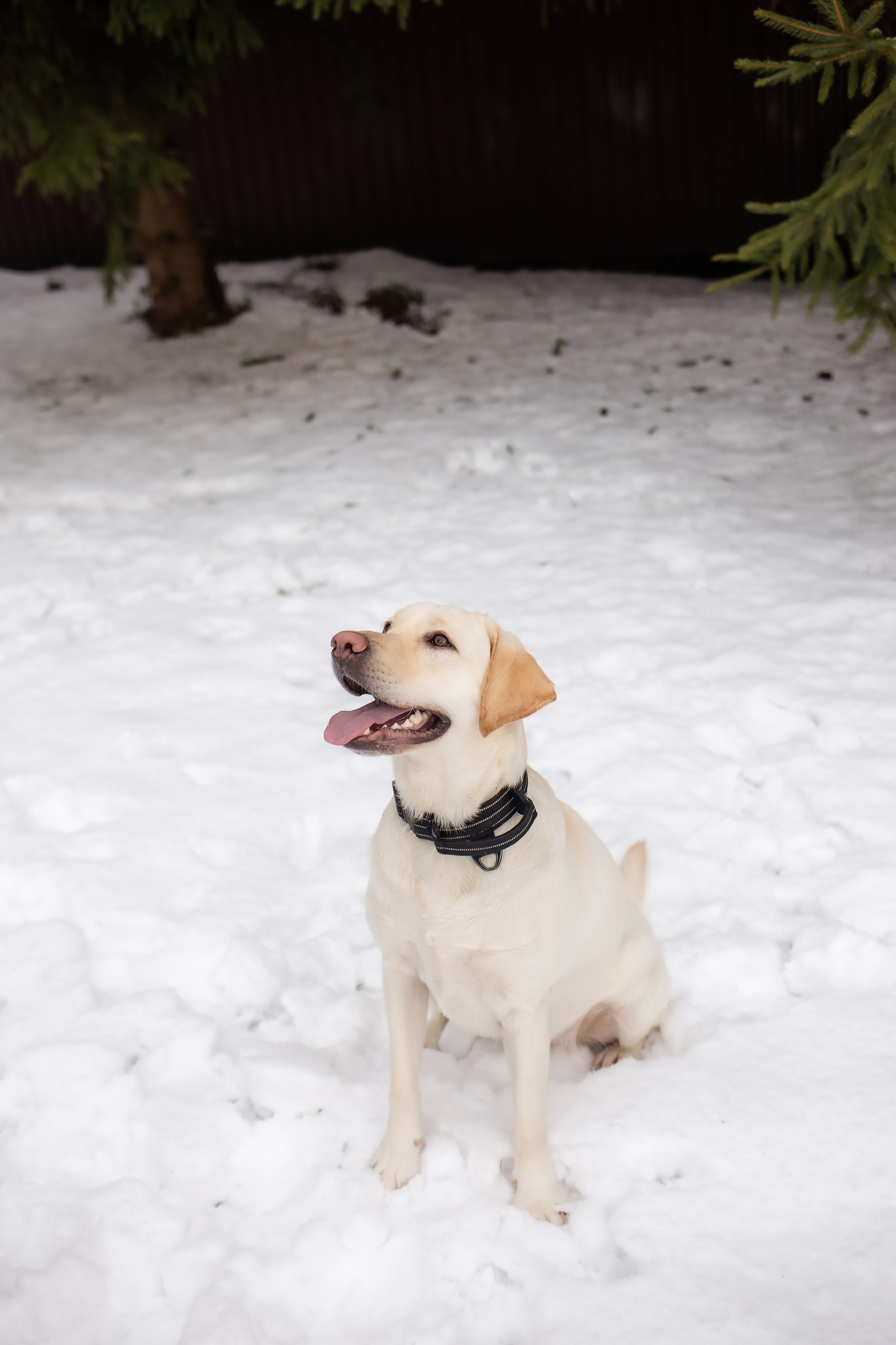 Луна и Катя. Фотограф в Калининграде Решетникова Алина