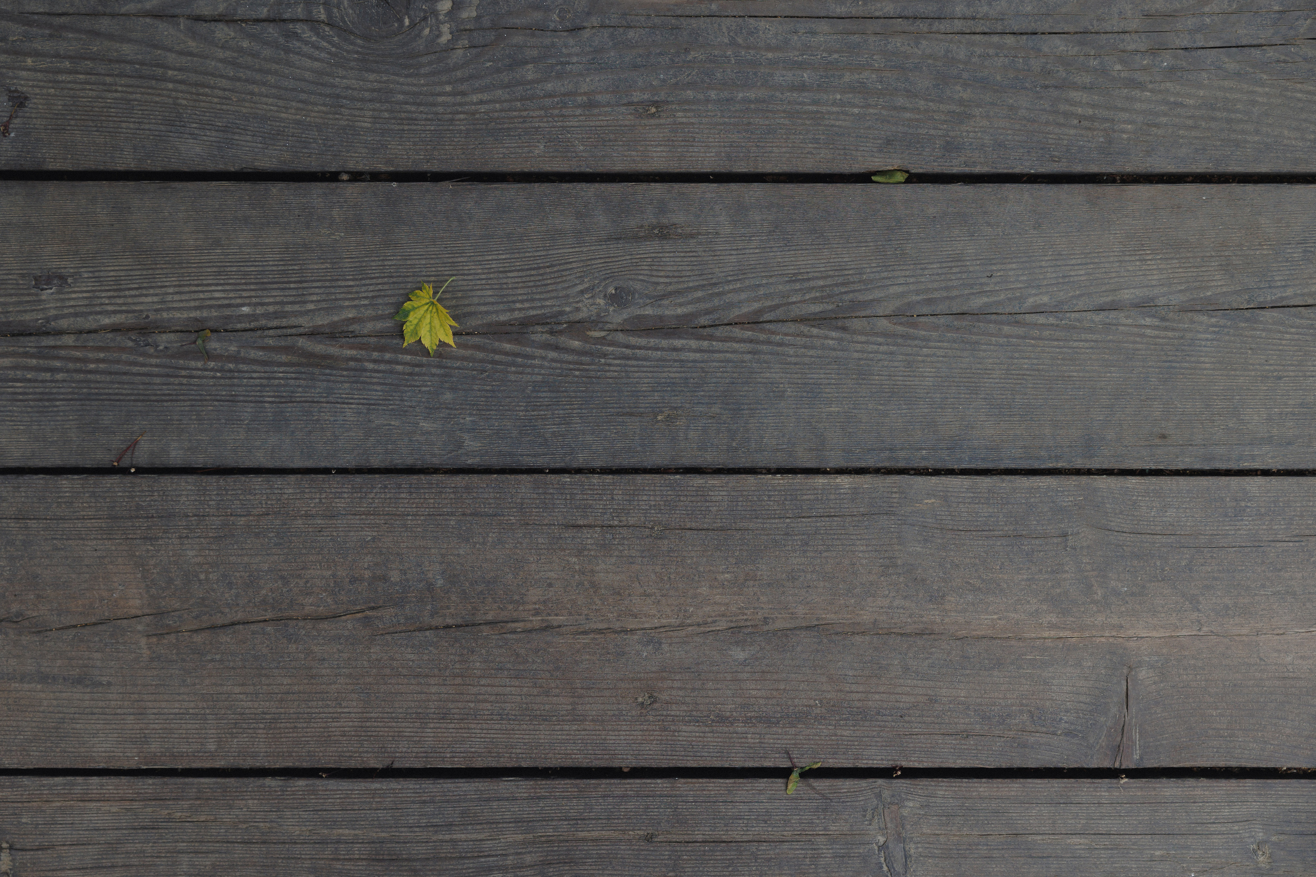 ДЕНЬ РОЖДЕНИЯ В ЛЕСУ. Wedding and family photographer in Vladivostok Anton Blokhin