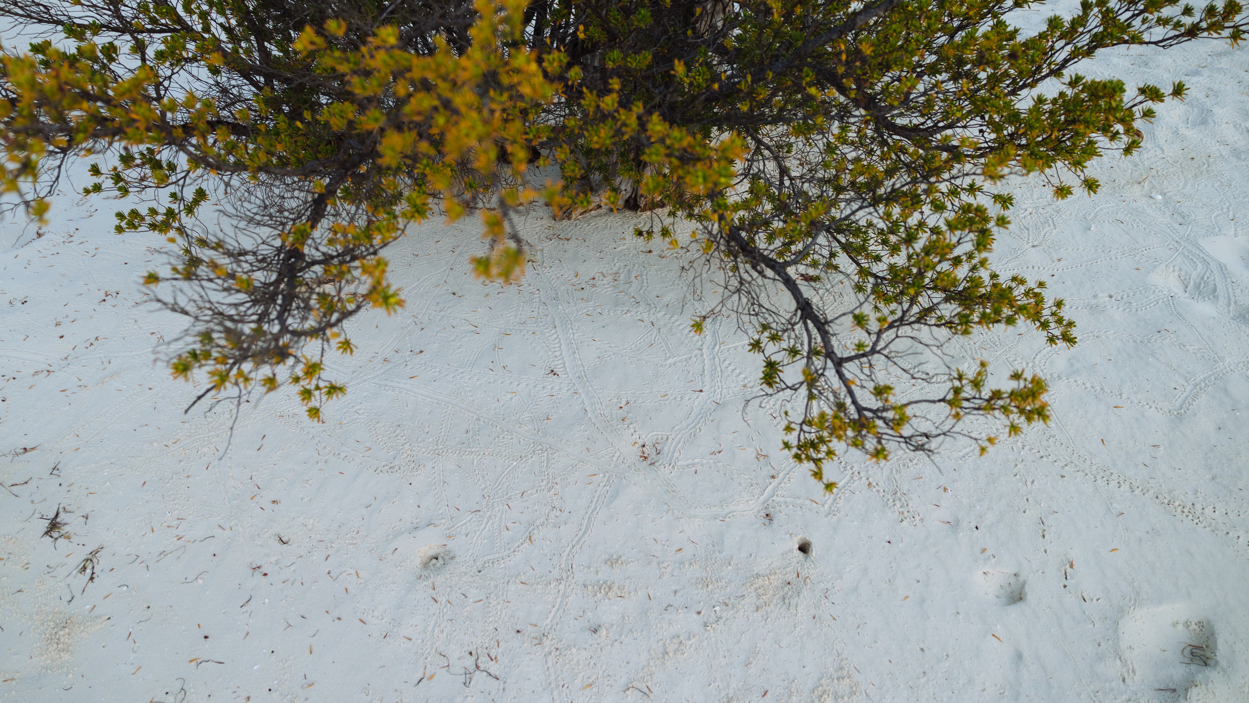 K & V | MALDIVES. Wedding and family photographer in Vladivostok Anton Blokhin