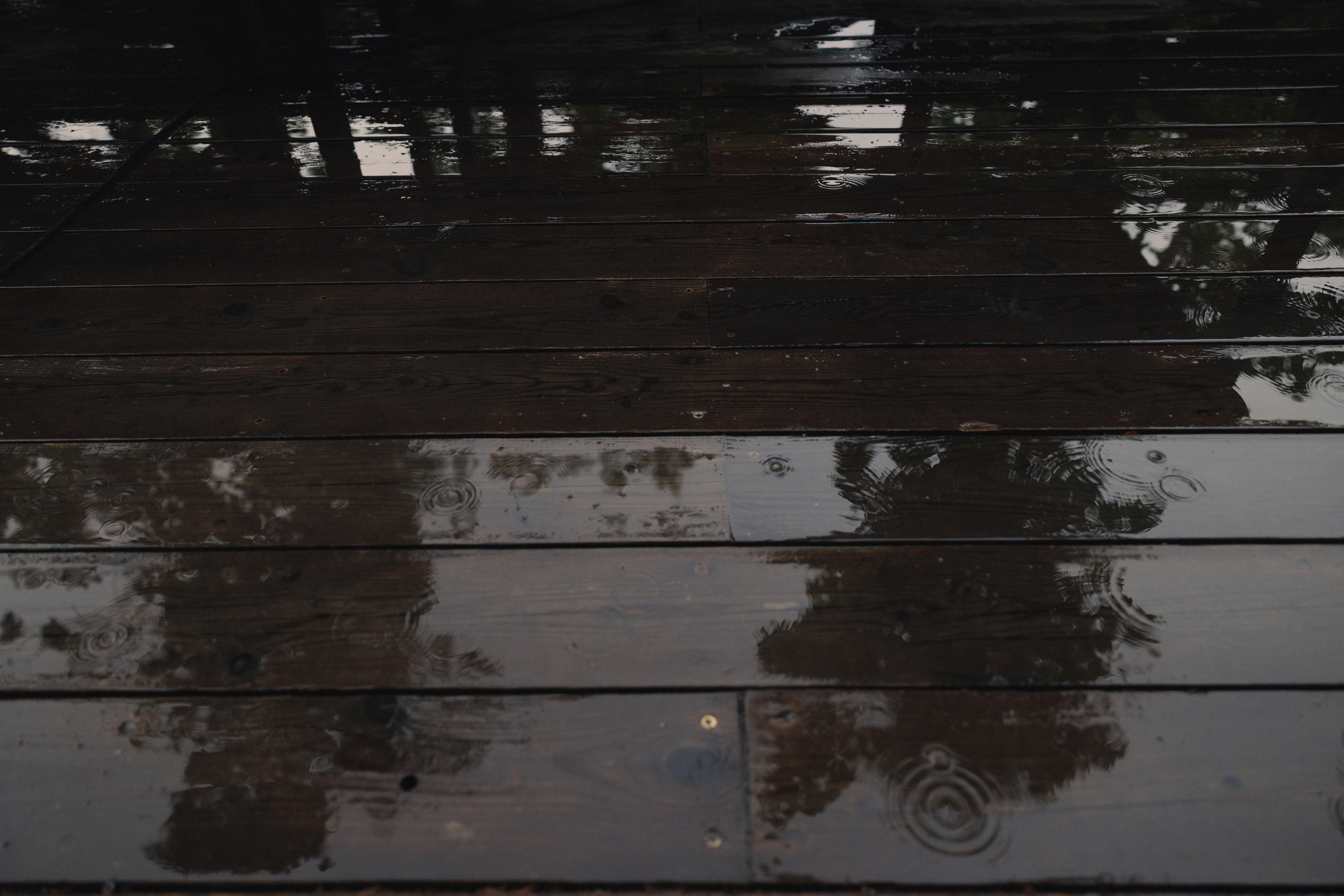 ДЕНЬ РОЖДЕНИЯ В ЛЕСУ. Wedding and family photographer in Vladivostok Anton Blokhin