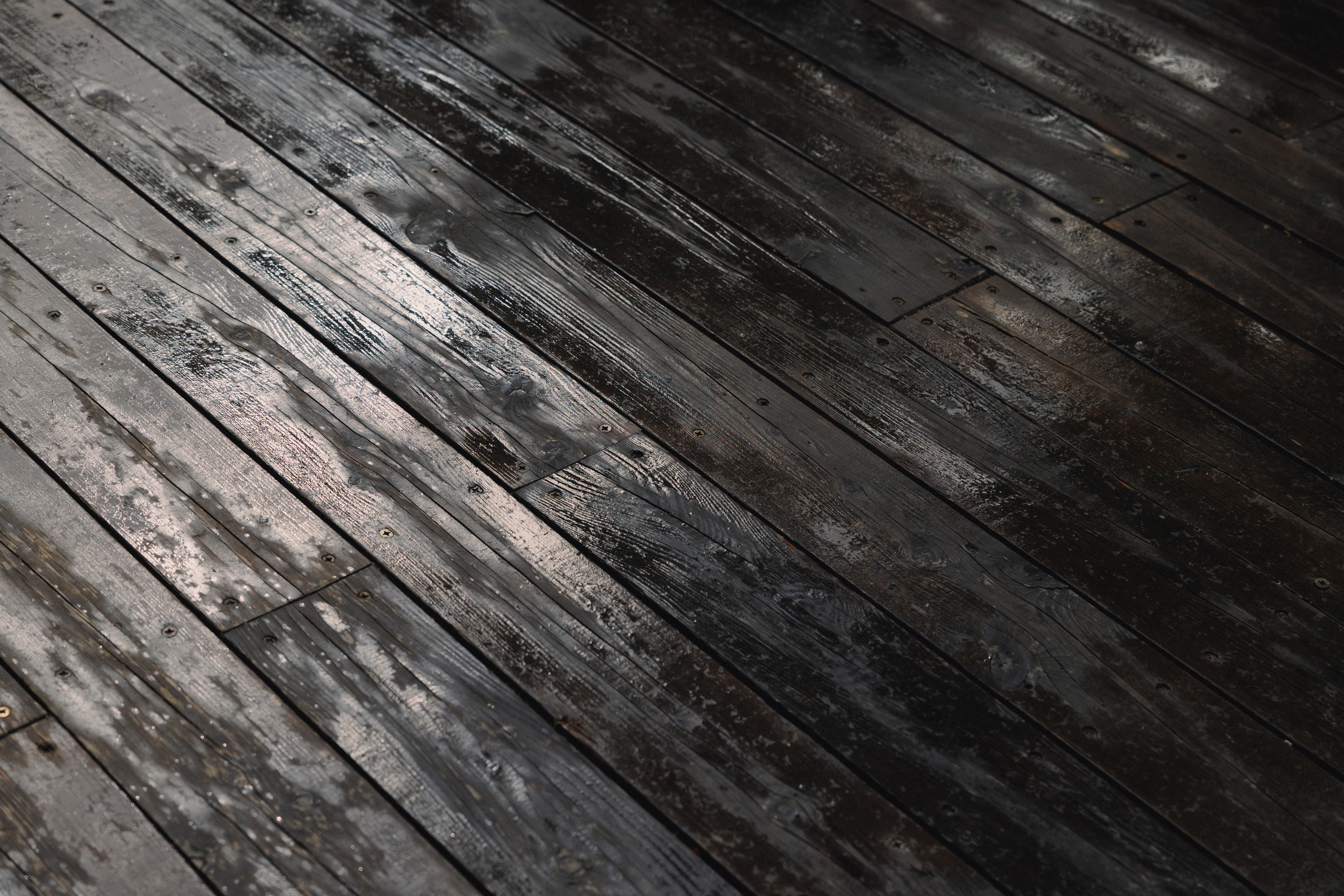 ДЕНЬ РОЖДЕНИЯ В ЛЕСУ. Wedding and family photographer in Vladivostok Anton Blokhin