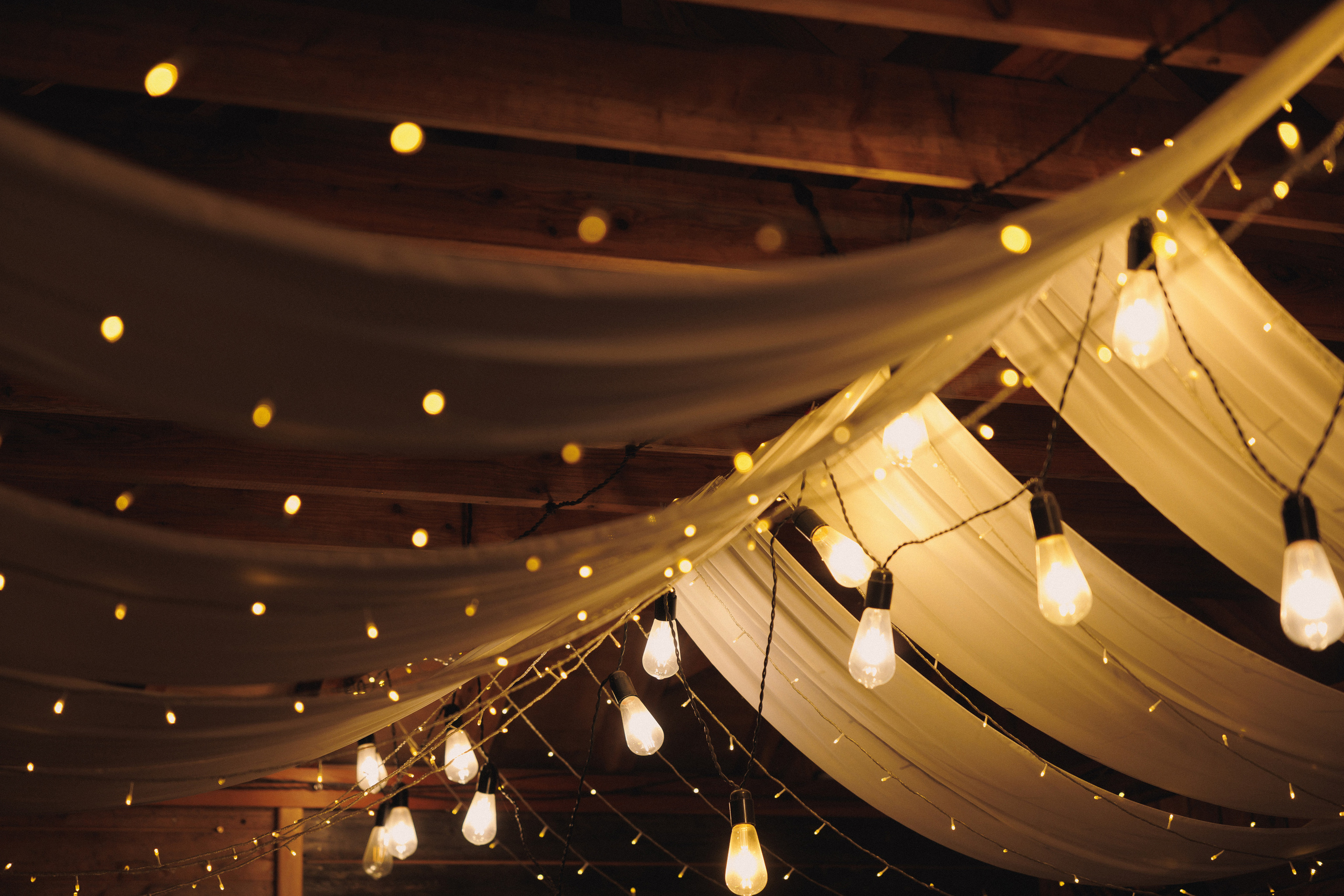 ДЕНЬ РОЖДЕНИЯ В ЛЕСУ. Wedding and family photographer in Vladivostok Anton Blokhin