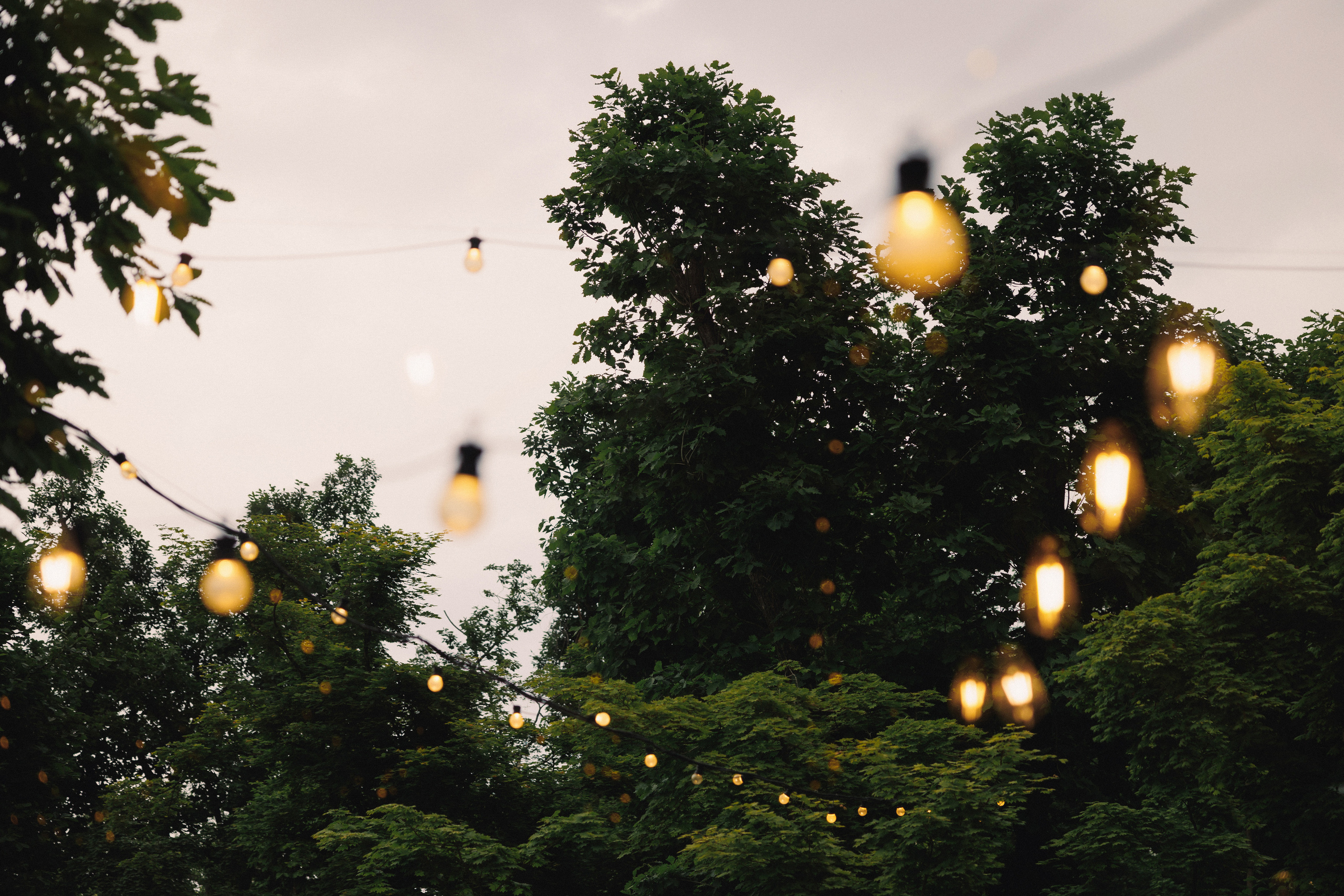 ДЕНЬ РОЖДЕНИЯ В ЛЕСУ. Wedding and family photographer in Vladivostok Anton Blokhin