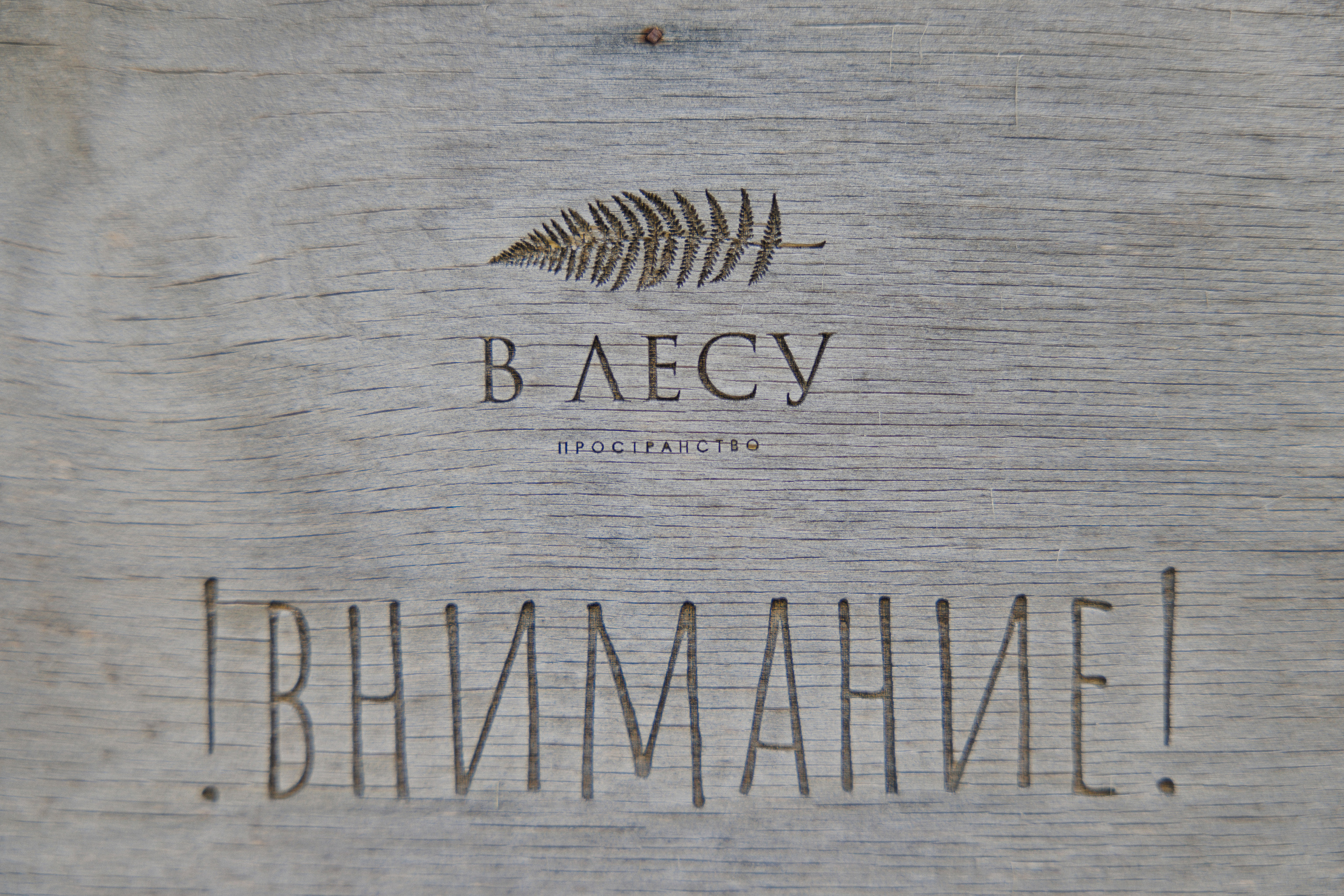 ДЕНЬ РОЖДЕНИЯ В ЛЕСУ. Wedding and family photographer in Vladivostok Anton Blokhin