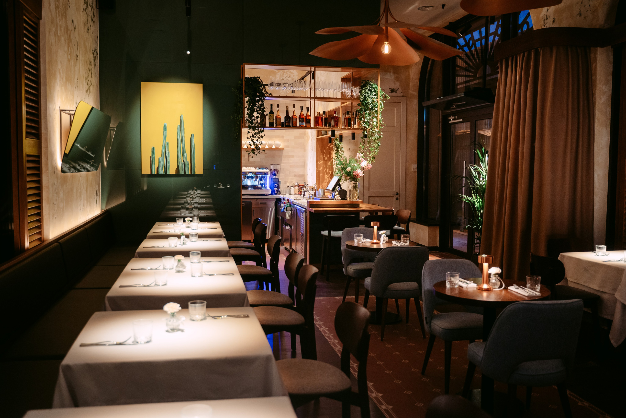 Avocado Queen / сеть ресторанов в Москве и Казани. Саша Копылов, фотограф в Казани