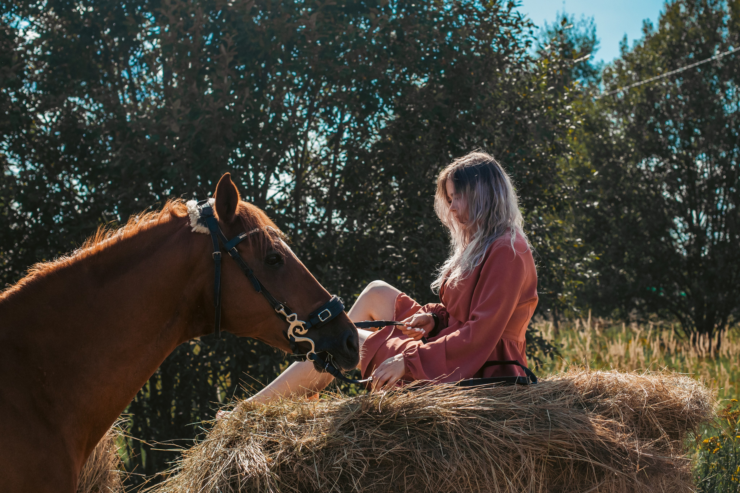 Экспресс фотопрогулка на конюшне. Фотограф-анималист Татьяна Степанова