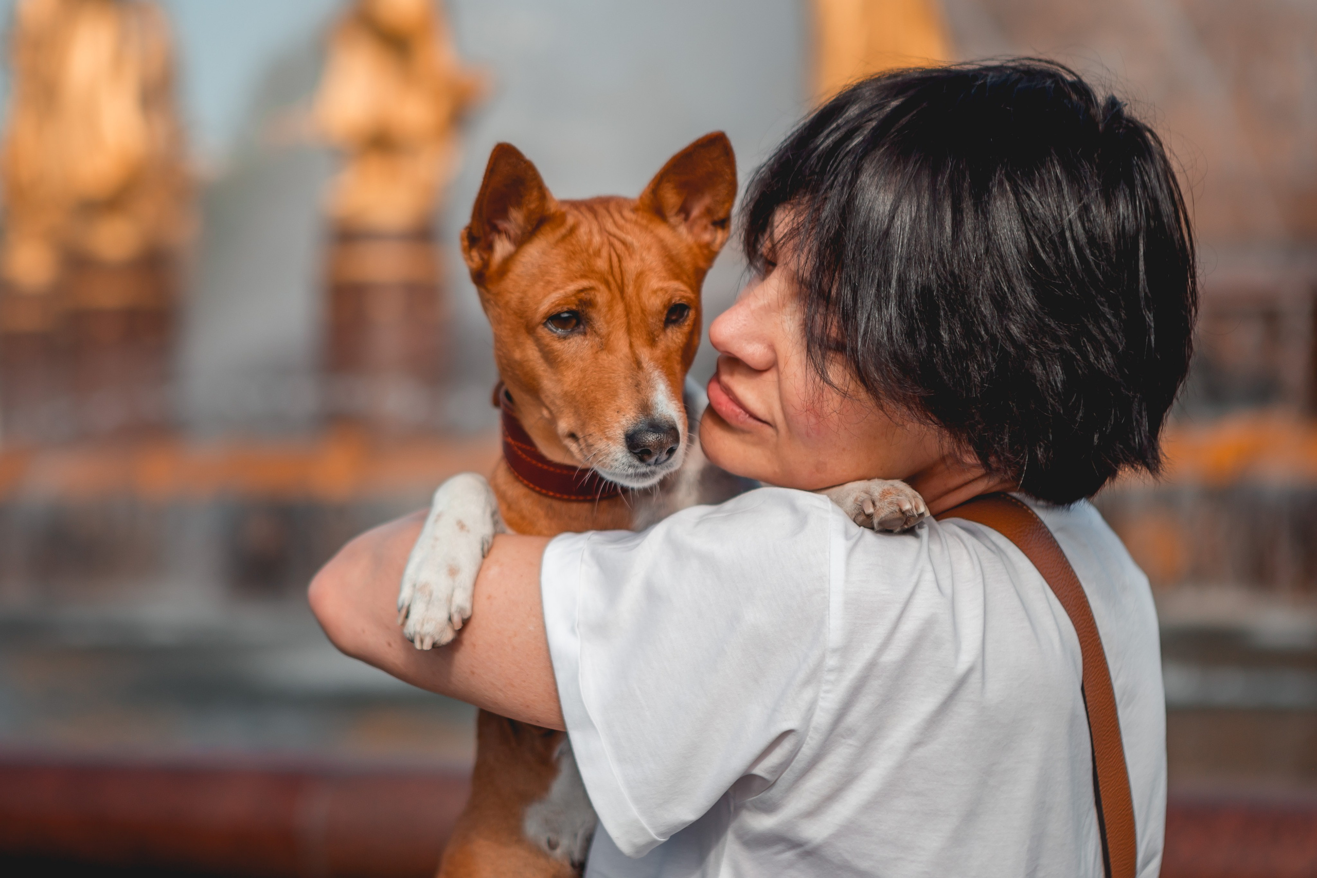 Ольга и семья. Семейный фотограф анималист Мария Крючкова