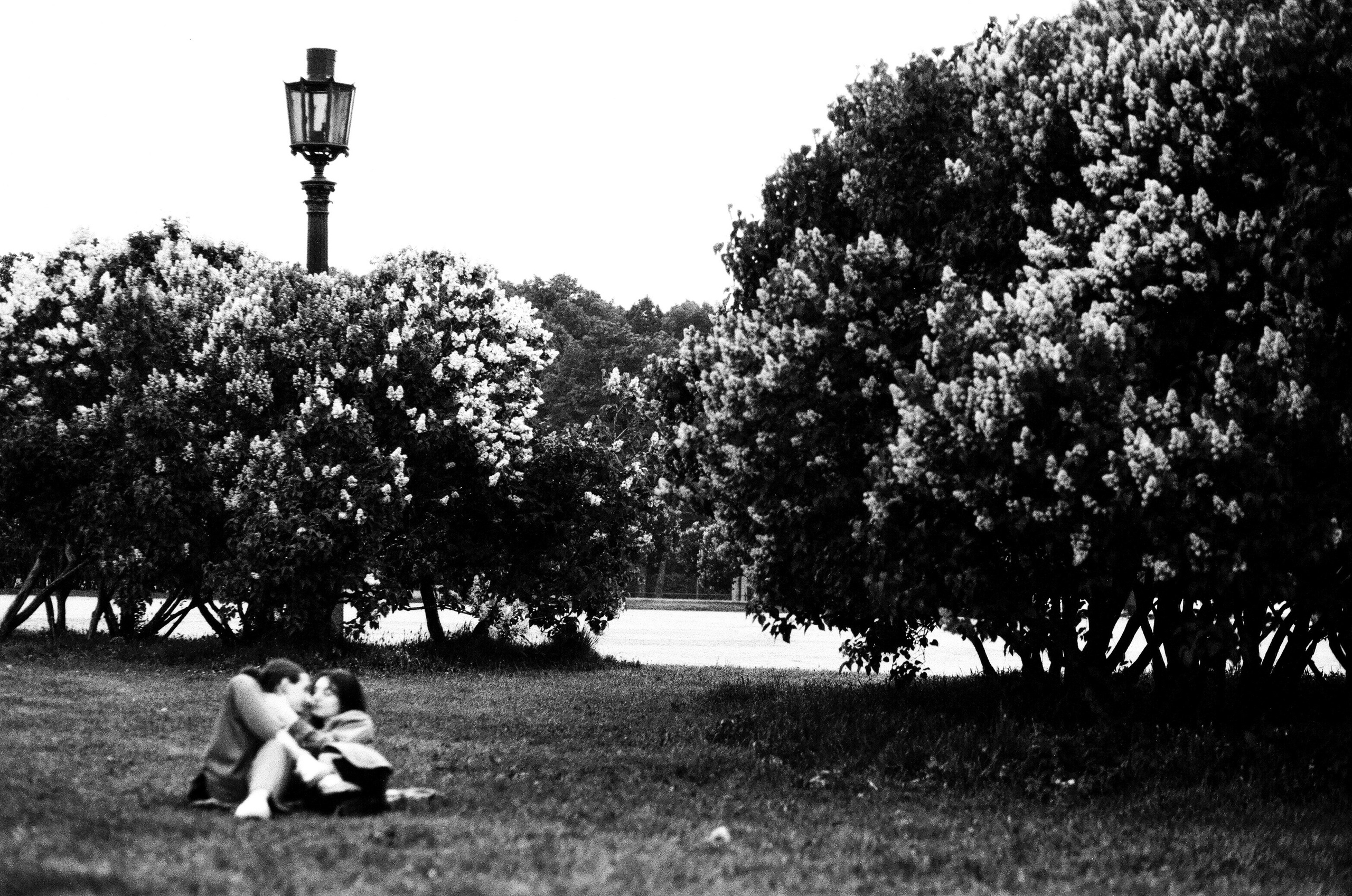 Alie parusa. Портретный фотограф в Санкт-Петербурге Ольга Муранова