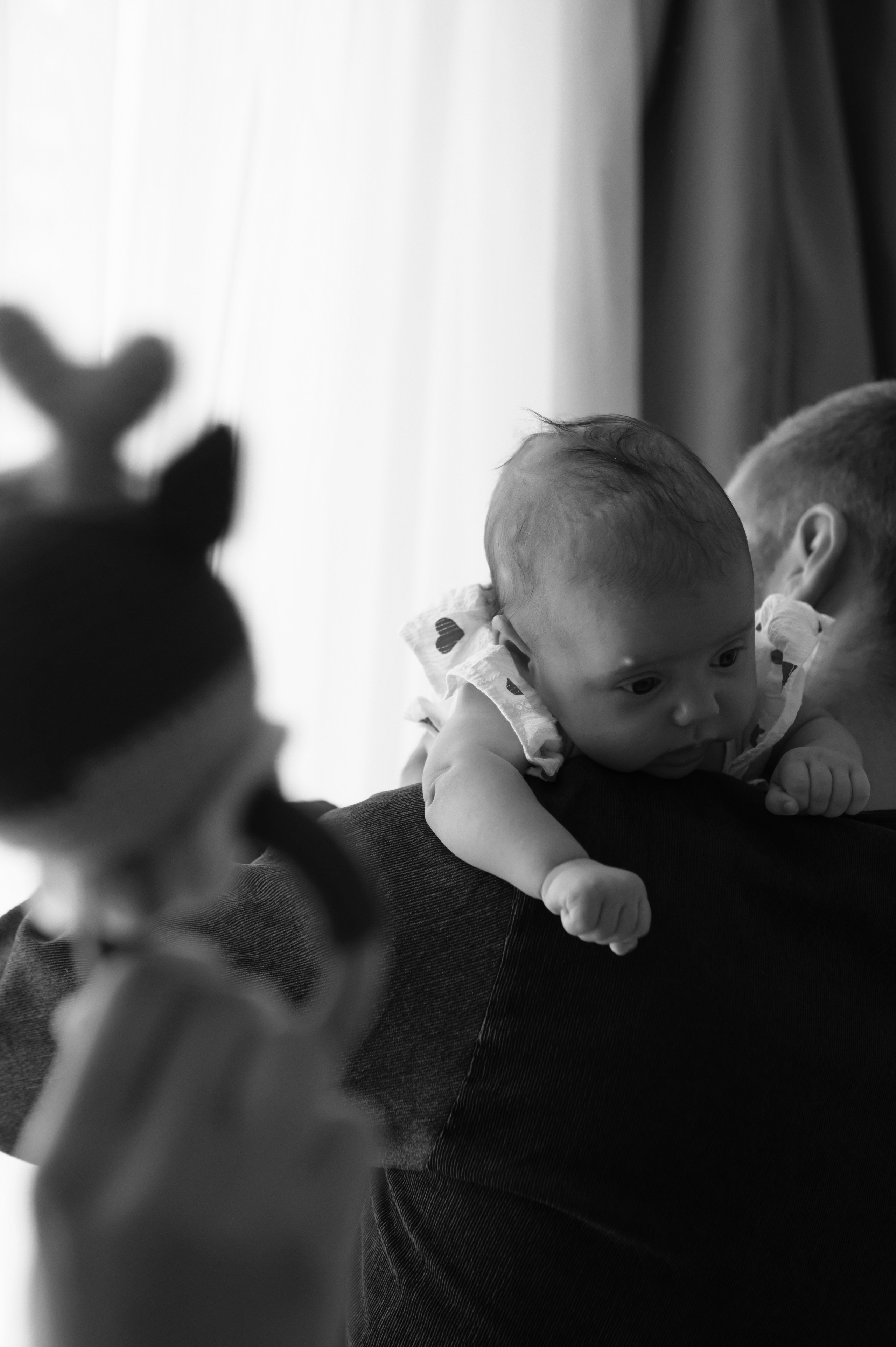 Наташа, Дима и Лера. Свадебный, портретный, фотограф беременности в Нижнем Новгороде Алина Зиновьева