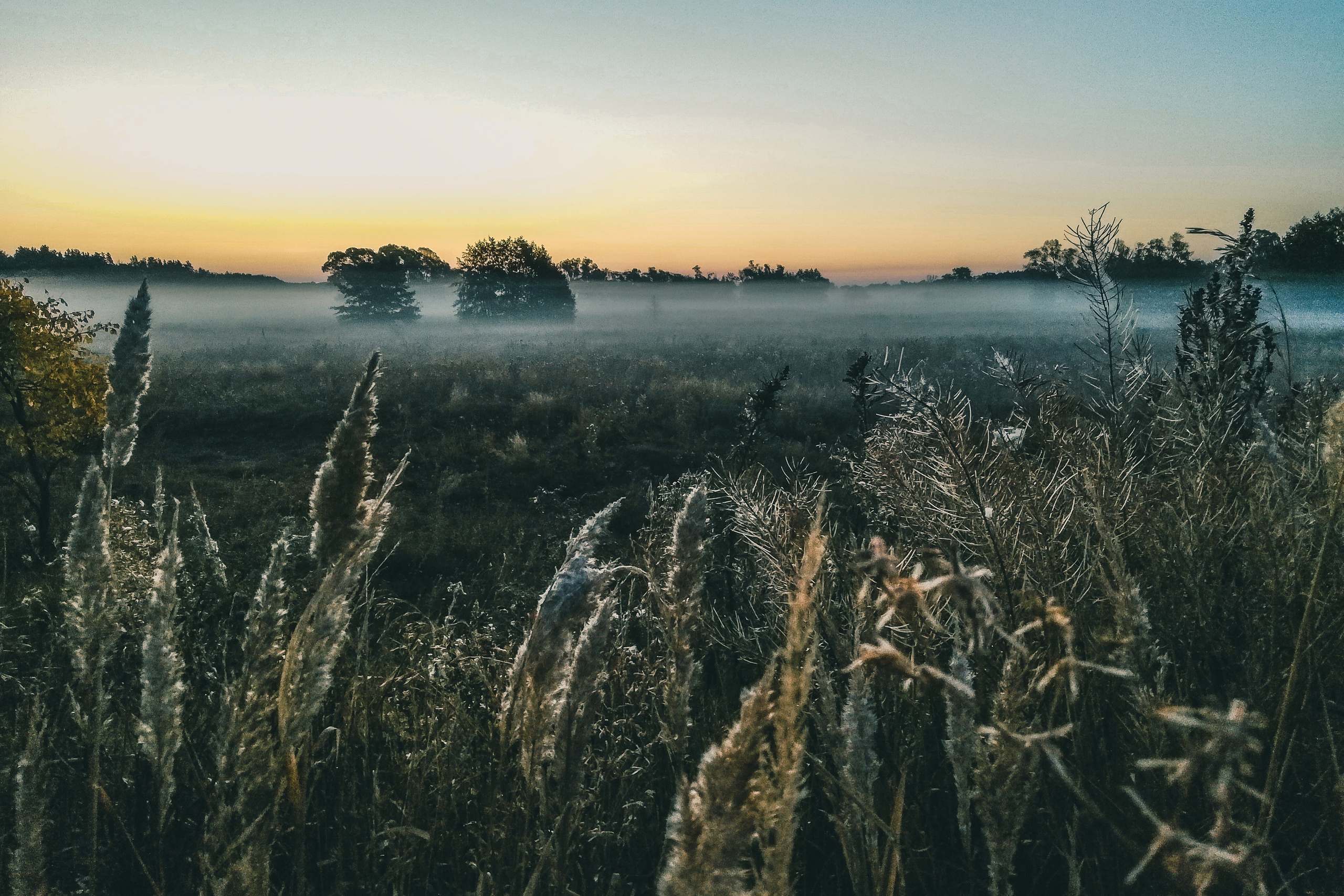 Константин Жуйков | Stifty