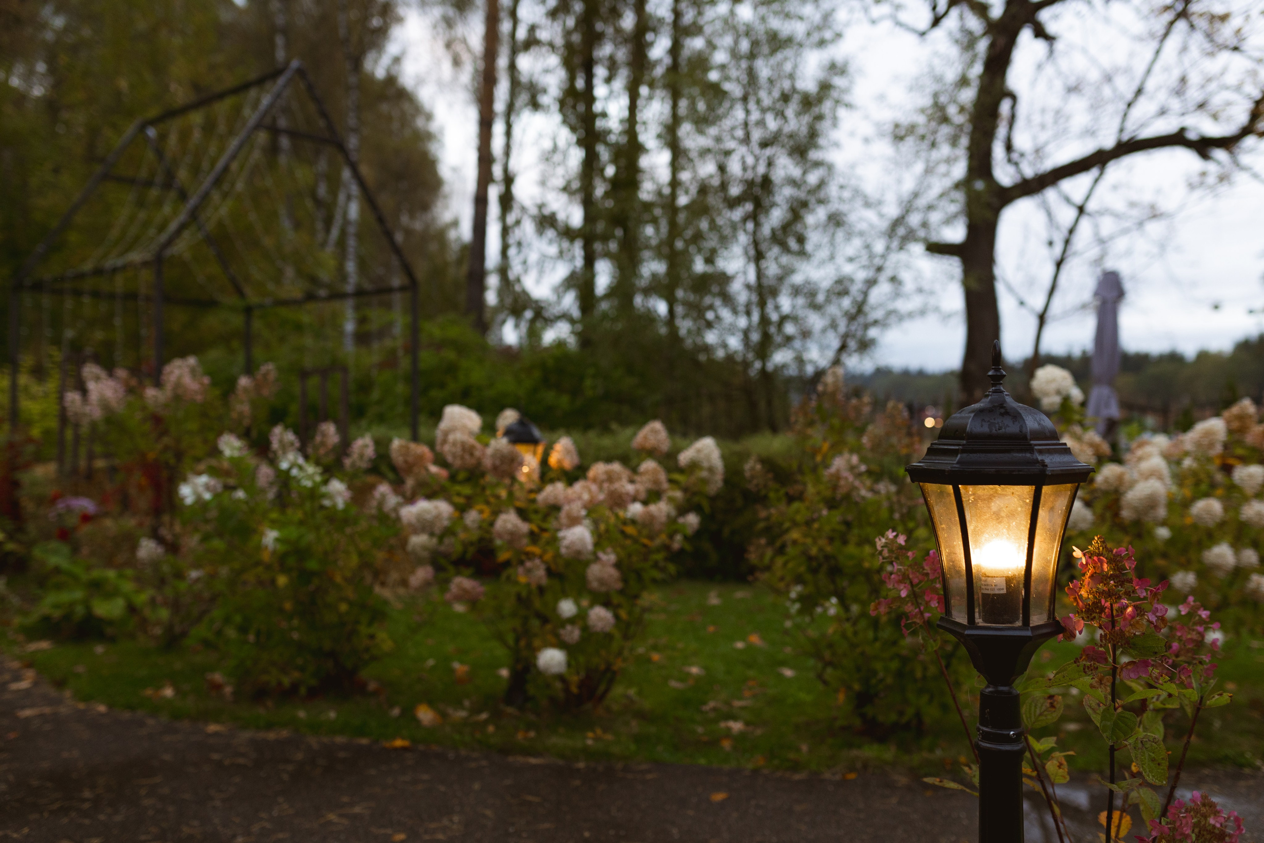 Зеленоградский ЗАГС. Свадебный фотограф Курзина Ольга | Москва