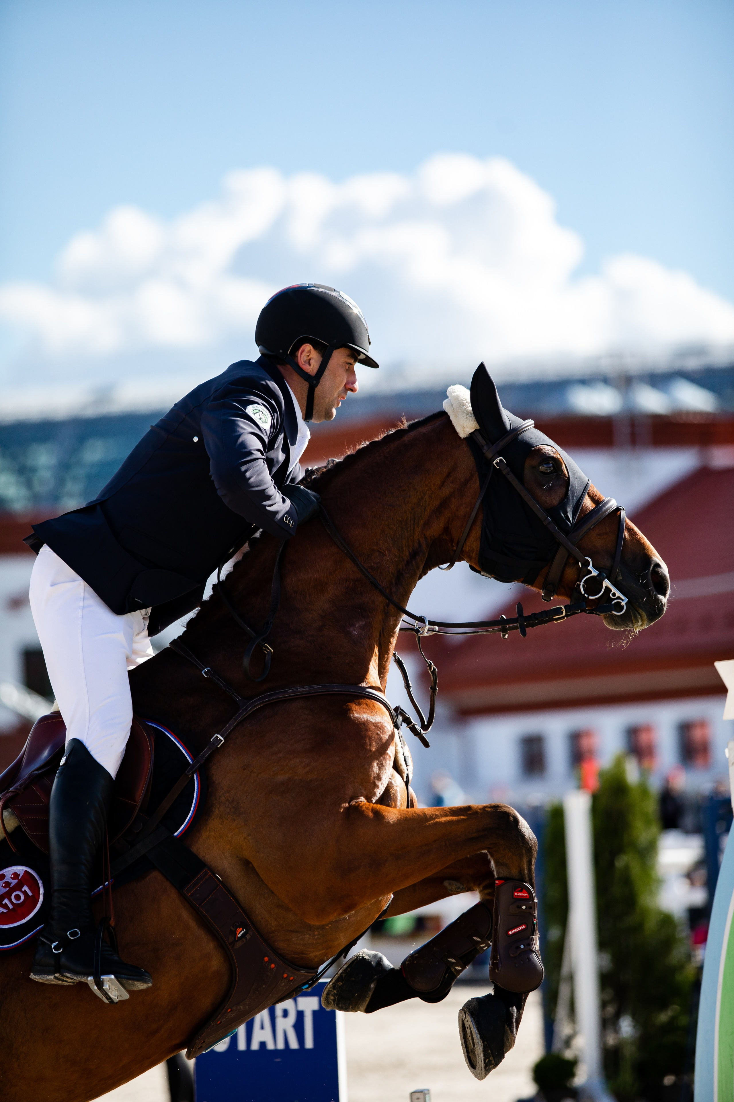 Турниры. Veronika Makeeva horse photo