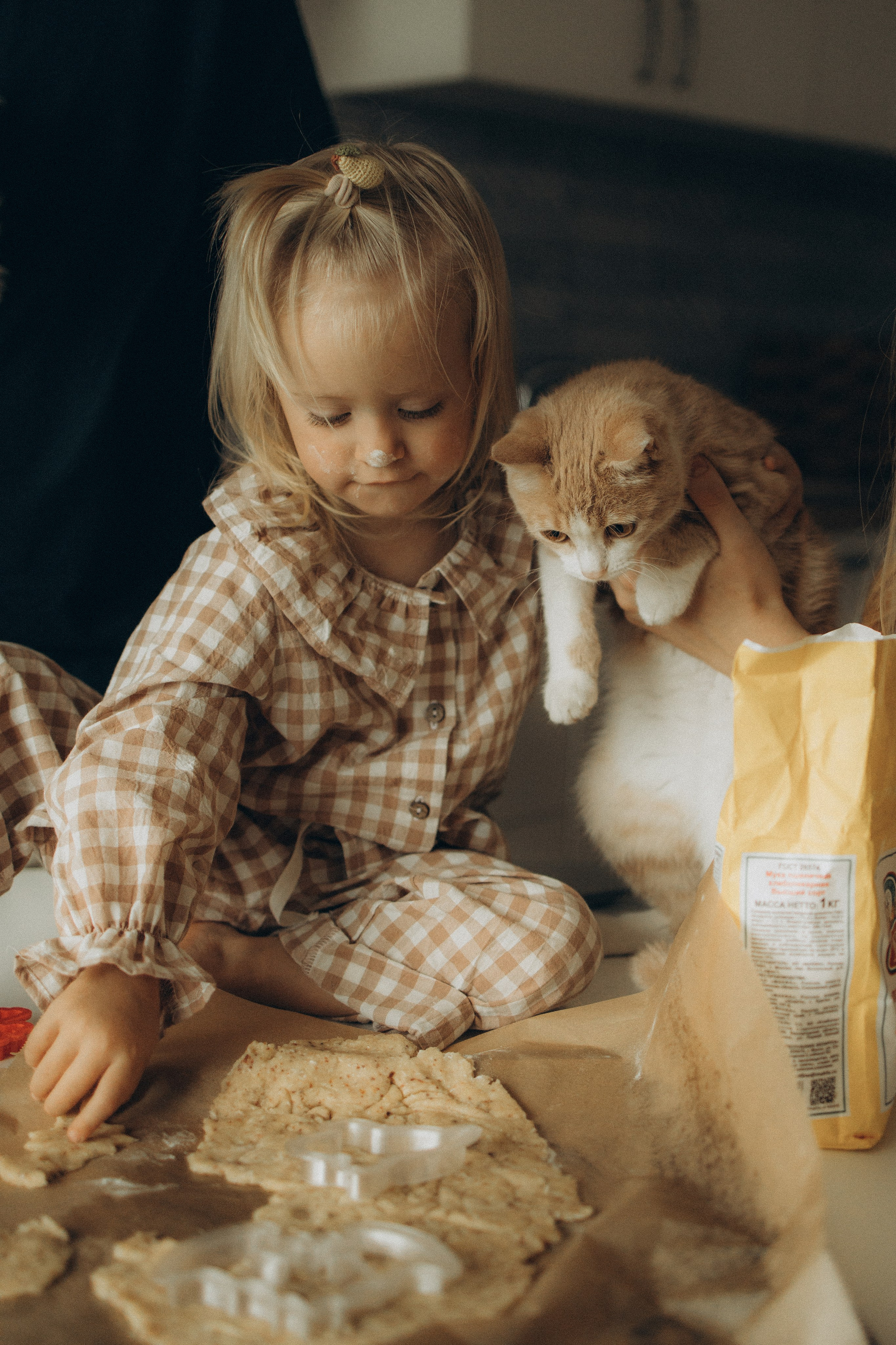 Аня, Алиса и Саша. Александра Ниценко СЕМЕЙНЫЙ ФОТОГРАФ ИЗ СТАВРОПОЛЯ