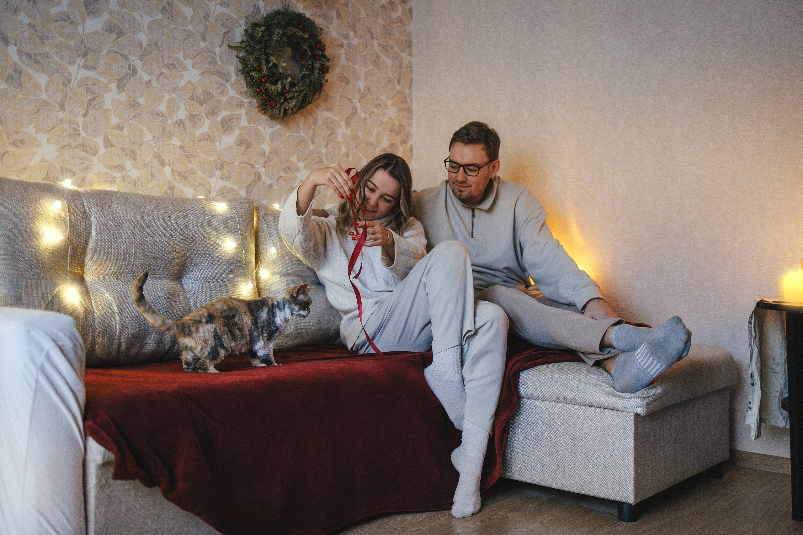 Домашняя новогодняя. Фотограф Анималист в Москве Анастасия Жучкова