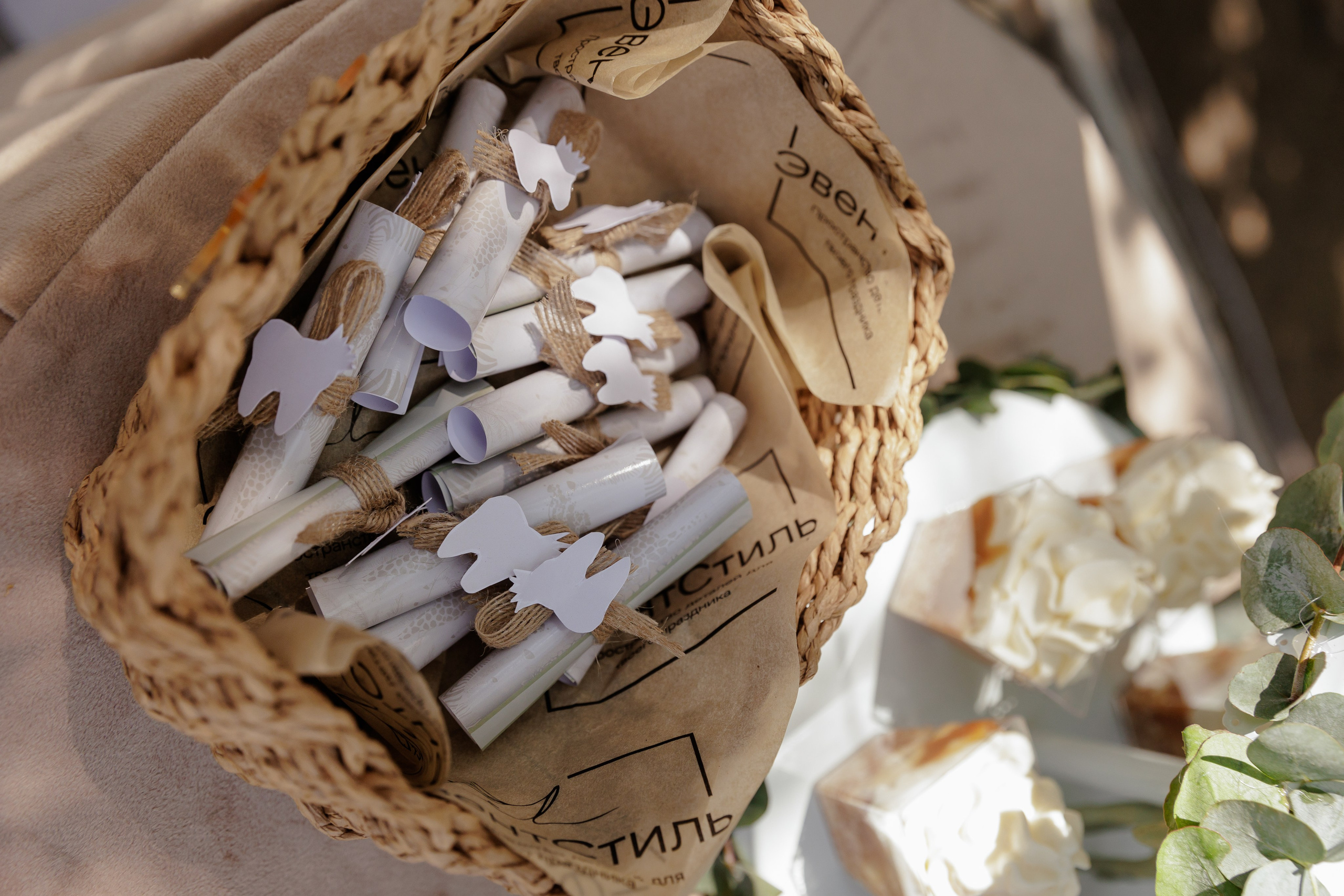 Роберт. Фотограф Костанай Кукуруза Анжела