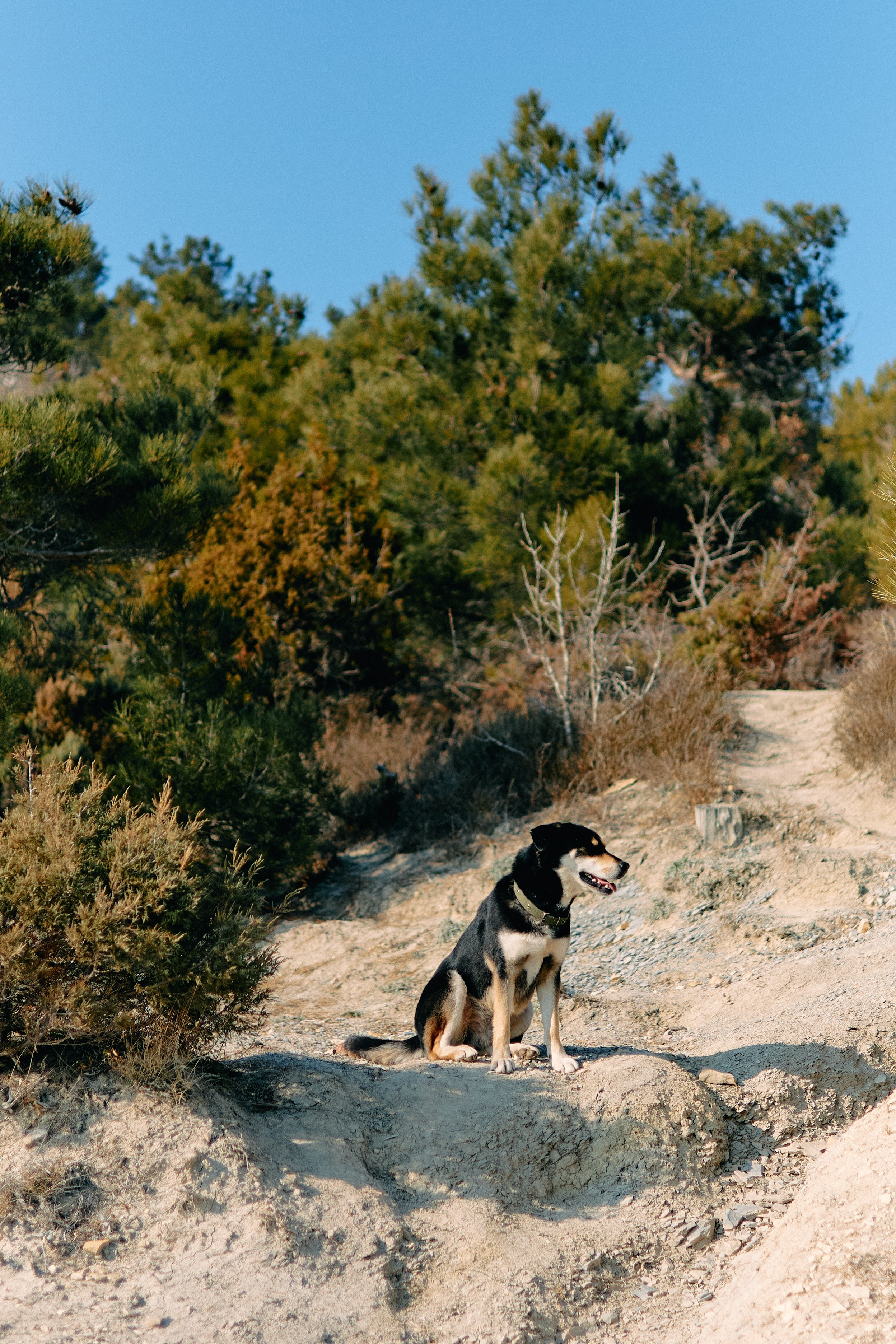 Юг России. Профессиональный Фотограф во Владимире, в Москве и в Суздале — Полина Романычева