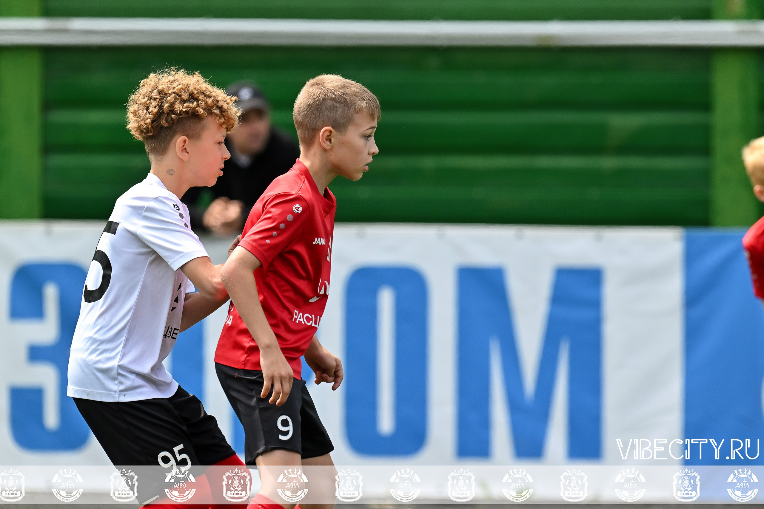 Большие Звезды светят Малым. VIBECITY.RU Вайб Сити Ру Фоторепортажи Фотоотчеты Калининград