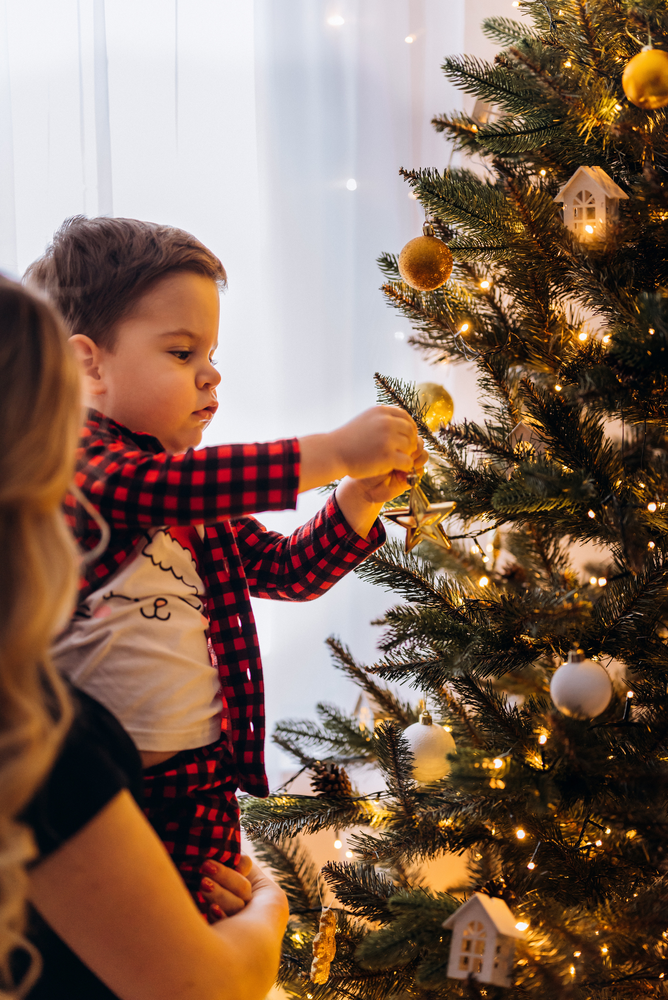 Под ёлочкой. Семейный фотограф в Минске Дарья Дреко