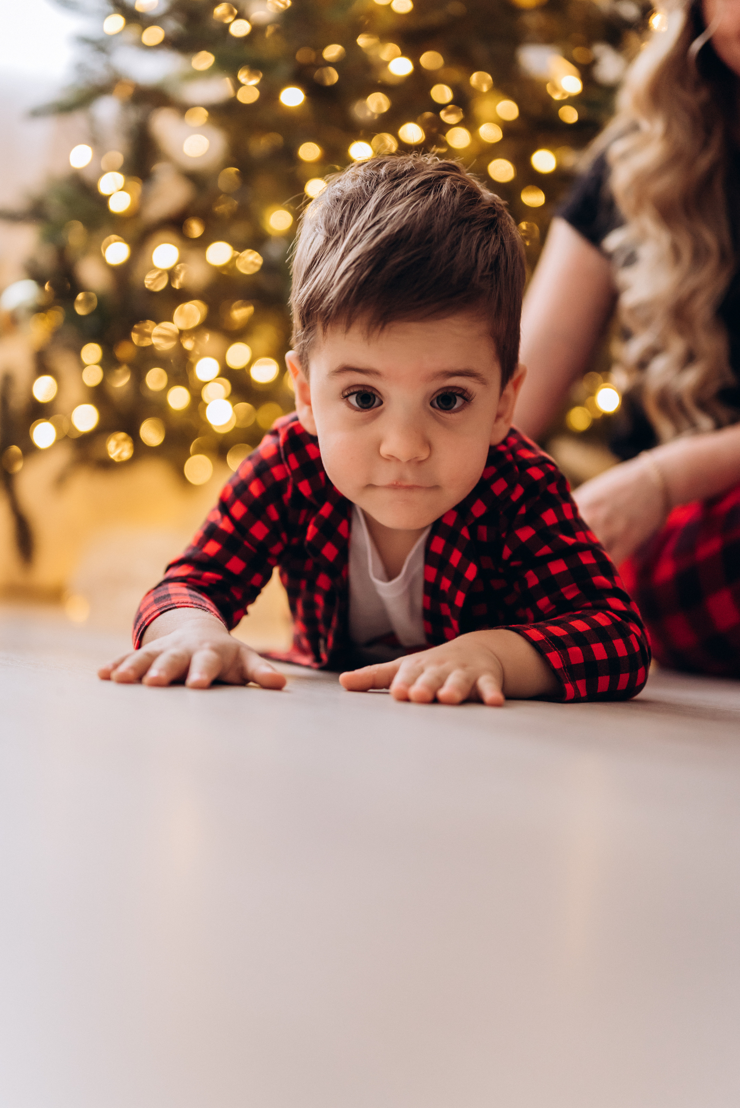Под ёлочкой. Семейный фотограф в Минске Дарья Дреко
