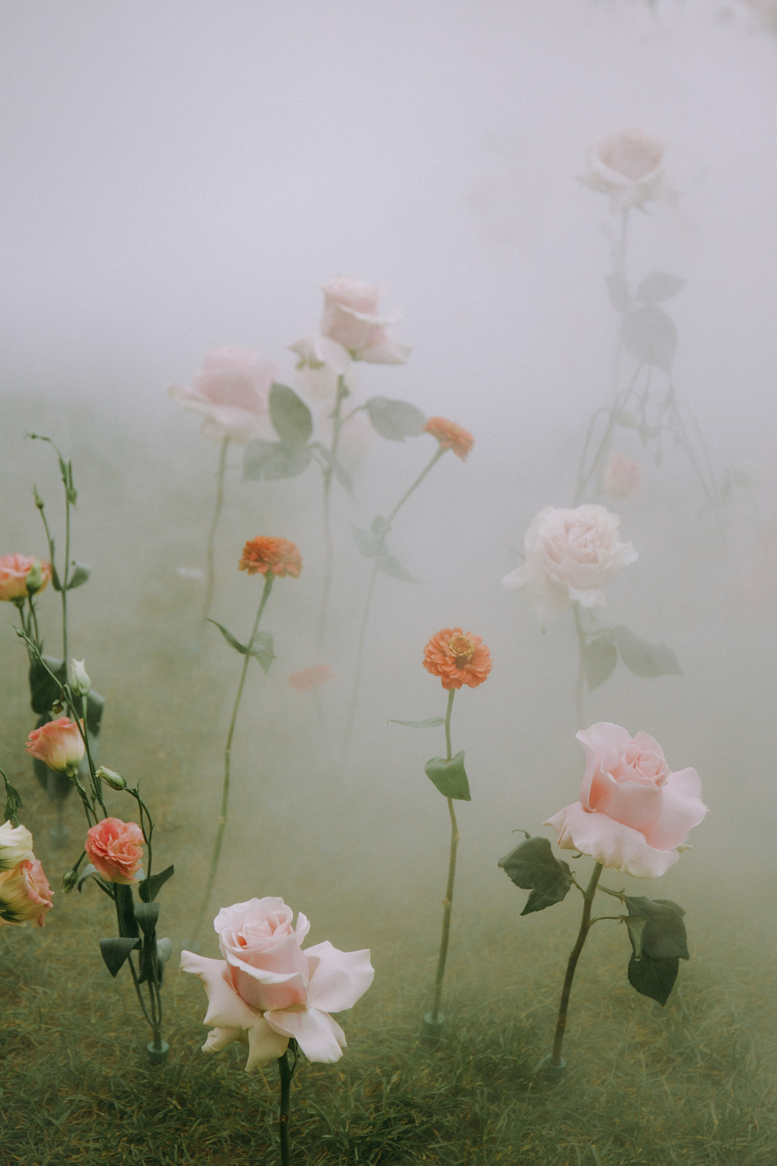 Артем и Маргарита. Главная