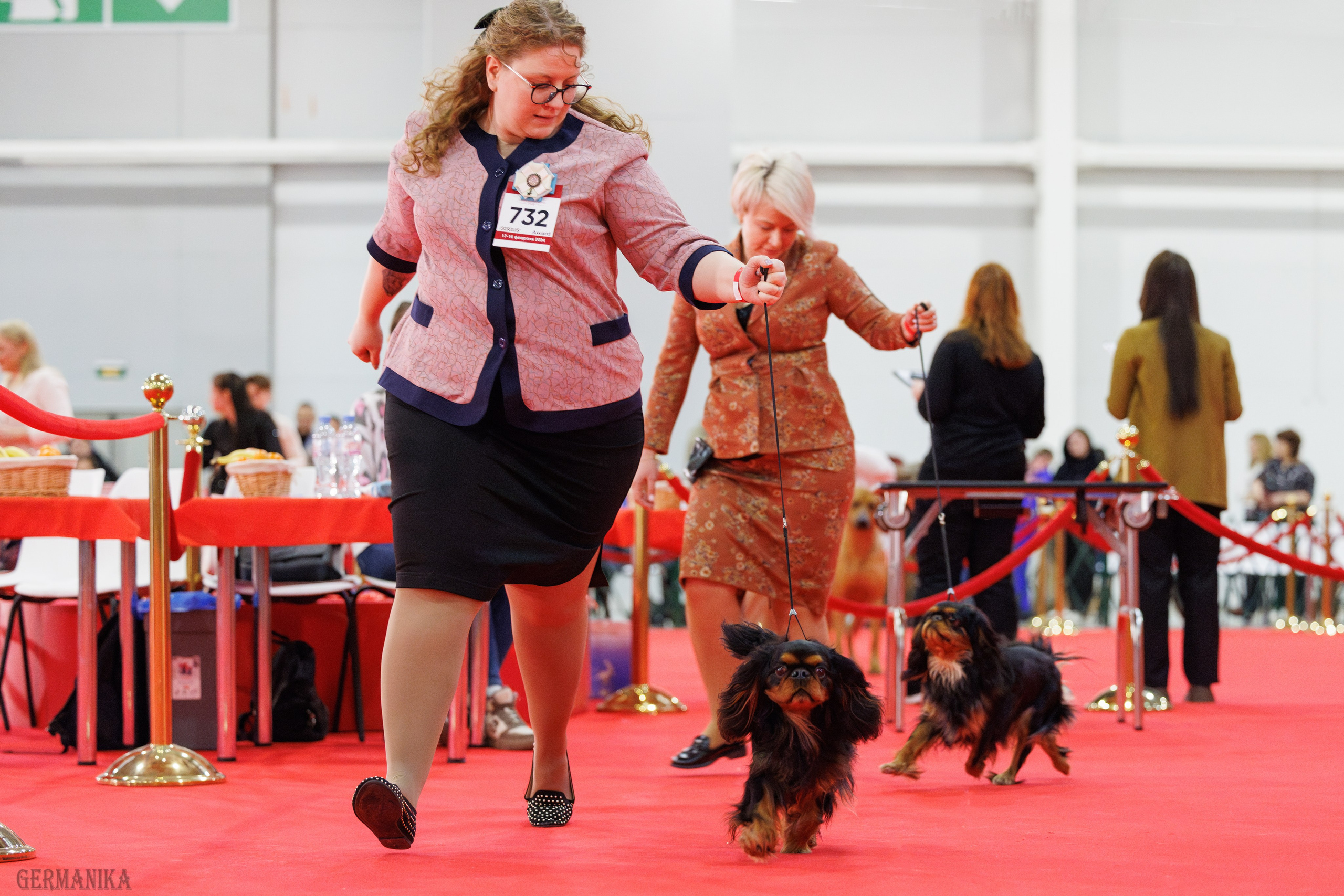 Лучшие Собаки России 17-18.02.2024. Фотограф-анималист Юлия Германика
