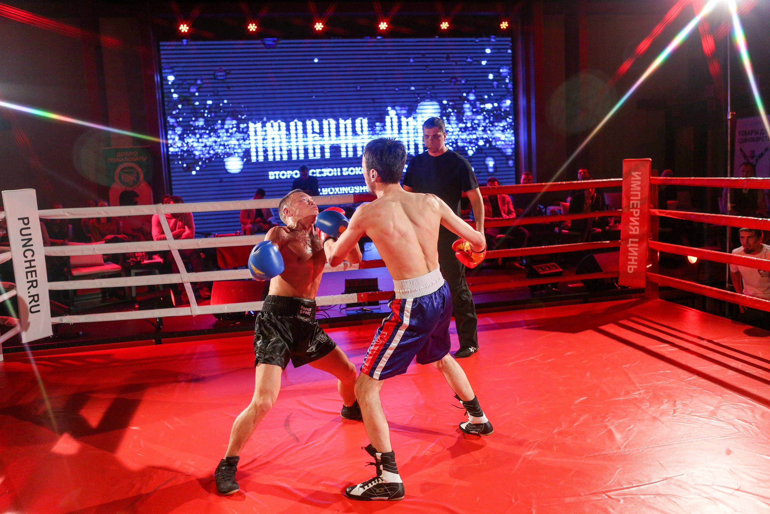 БОКС Империя Цынь, турнир первый. Фотограф Александр Заломаев