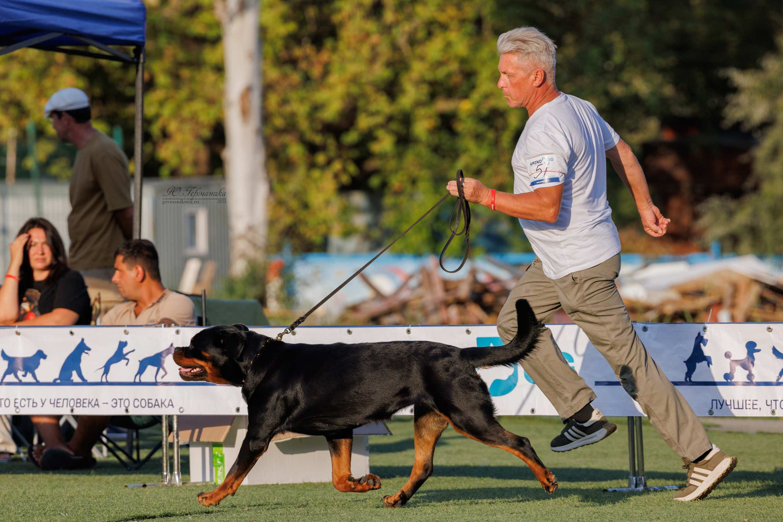 Анапа ротвейлеры 14-15.09.2024. Фотограф-анималист Юлия Германика
