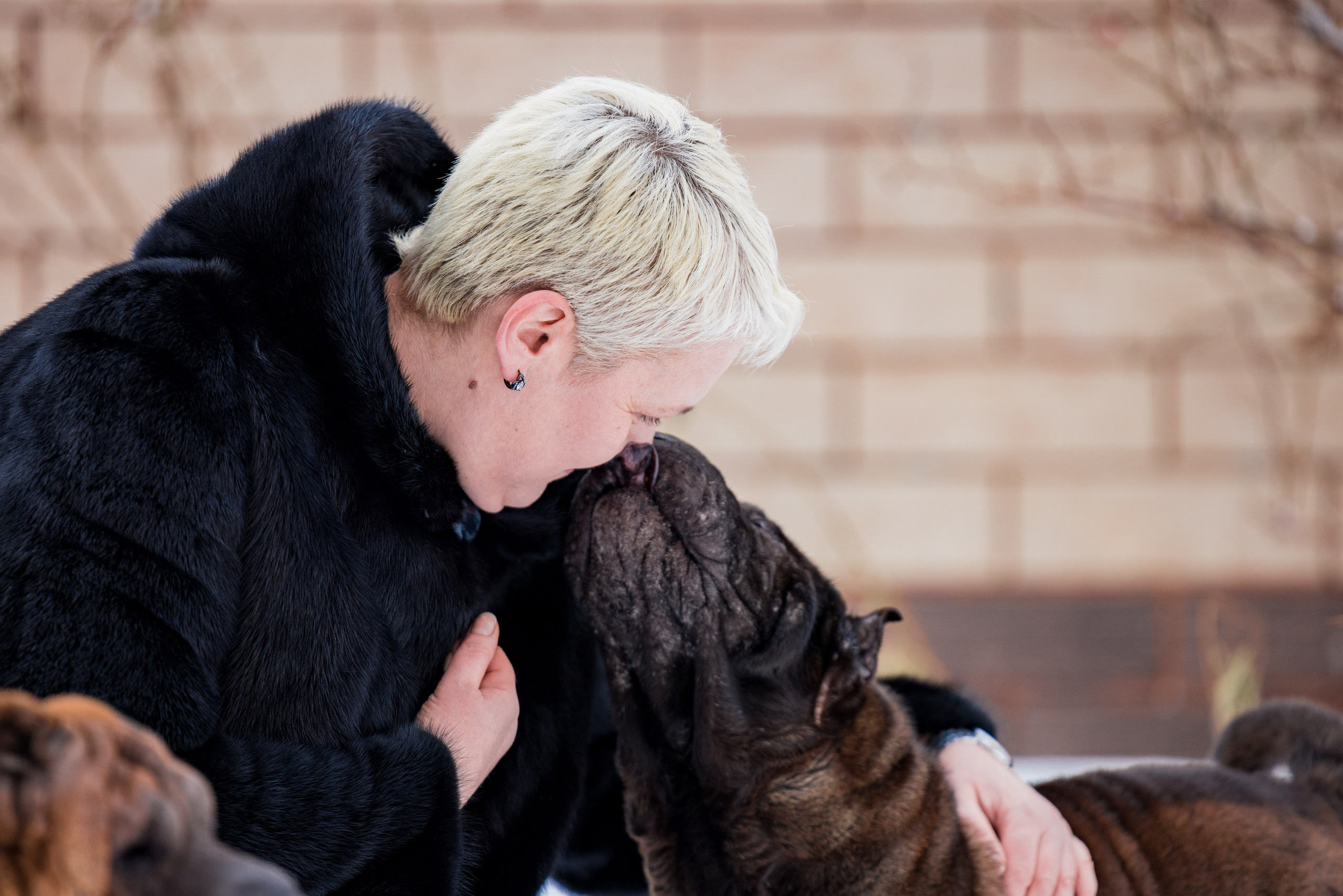 В гостях у шарпеев 16.01.2024. Фотограф-анималист Юлия Германика