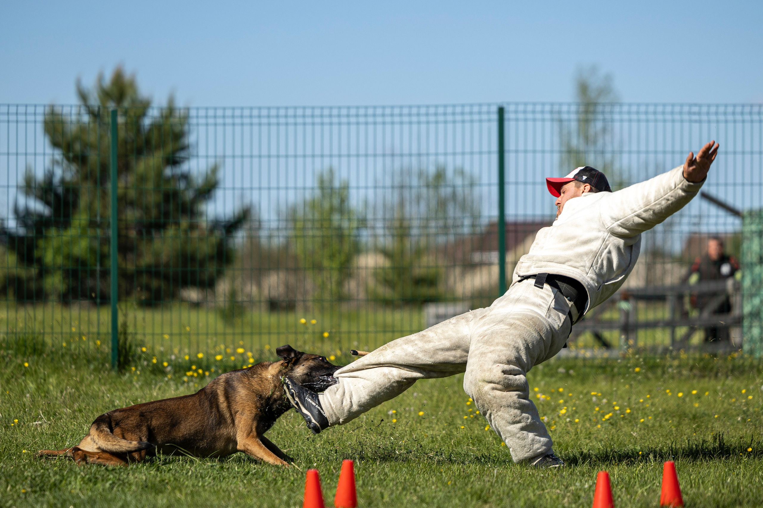 Испытания по мондьорингу в Нижнем Новгороде. Фотограф-анималист Анна Маринич