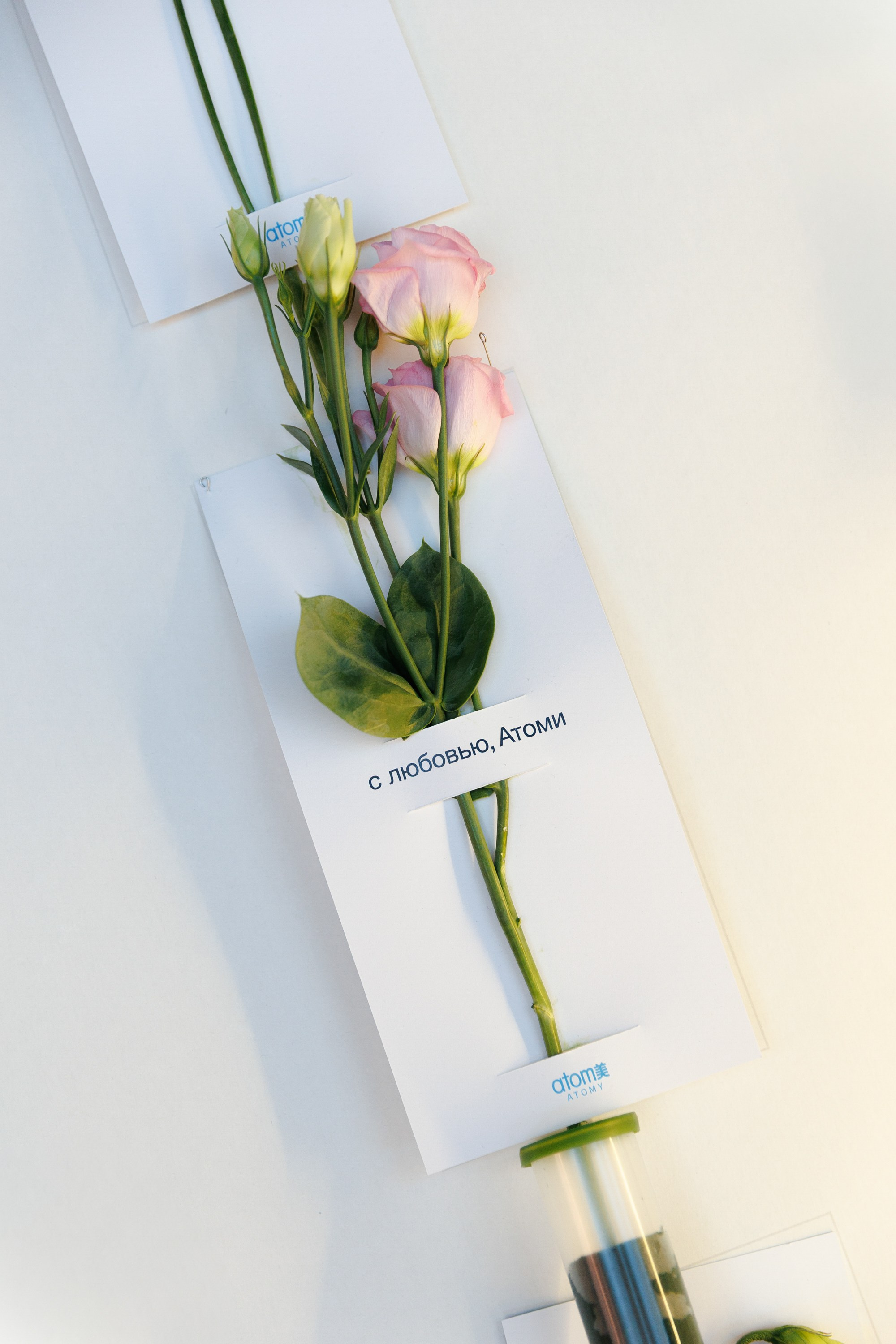 Репортаж. Игорь Панкратов | Фотограф Ставрополь