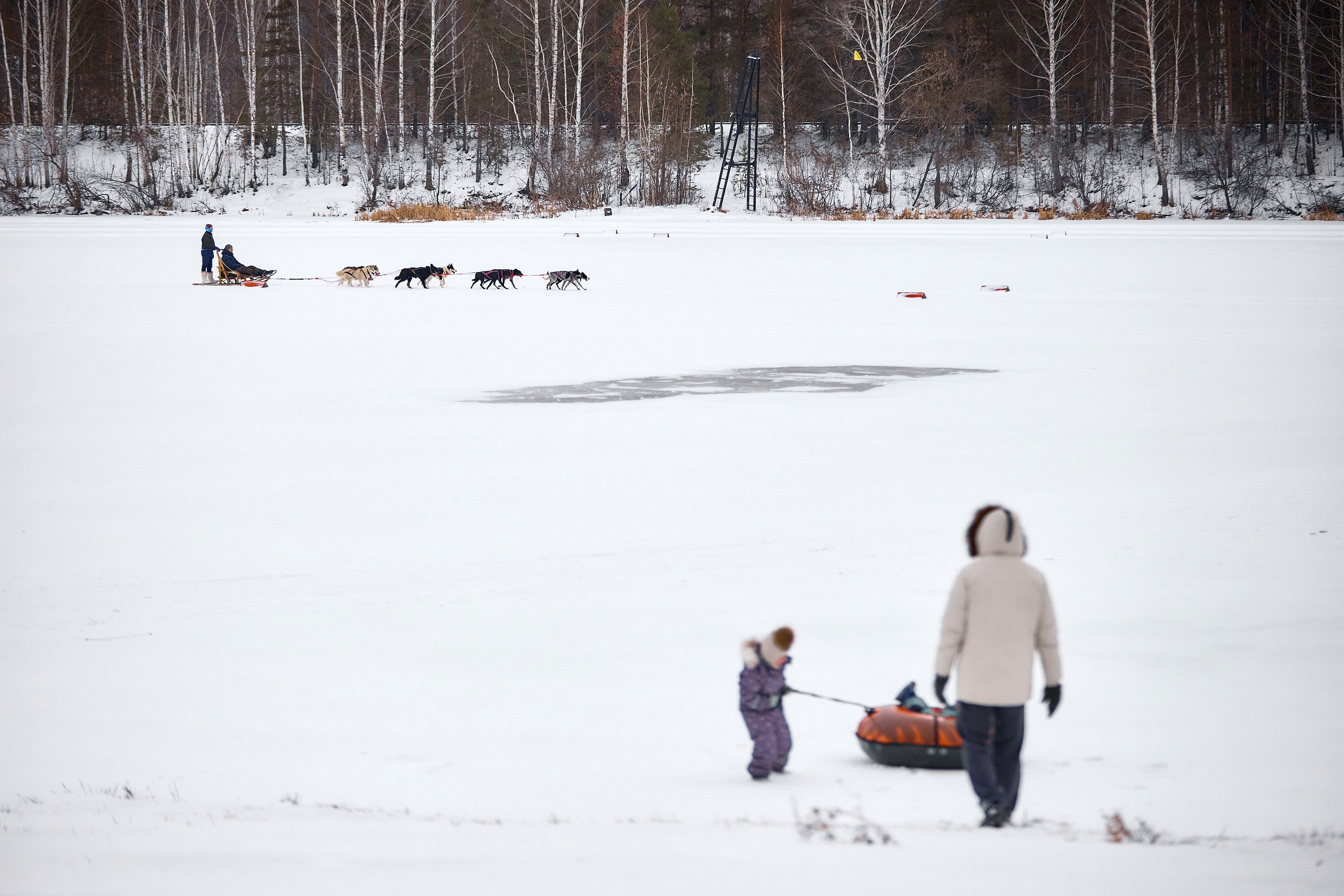 ПРОДО. Новогодний семейный корпоратив. Даниил Савиных | Фотограф Тюмень