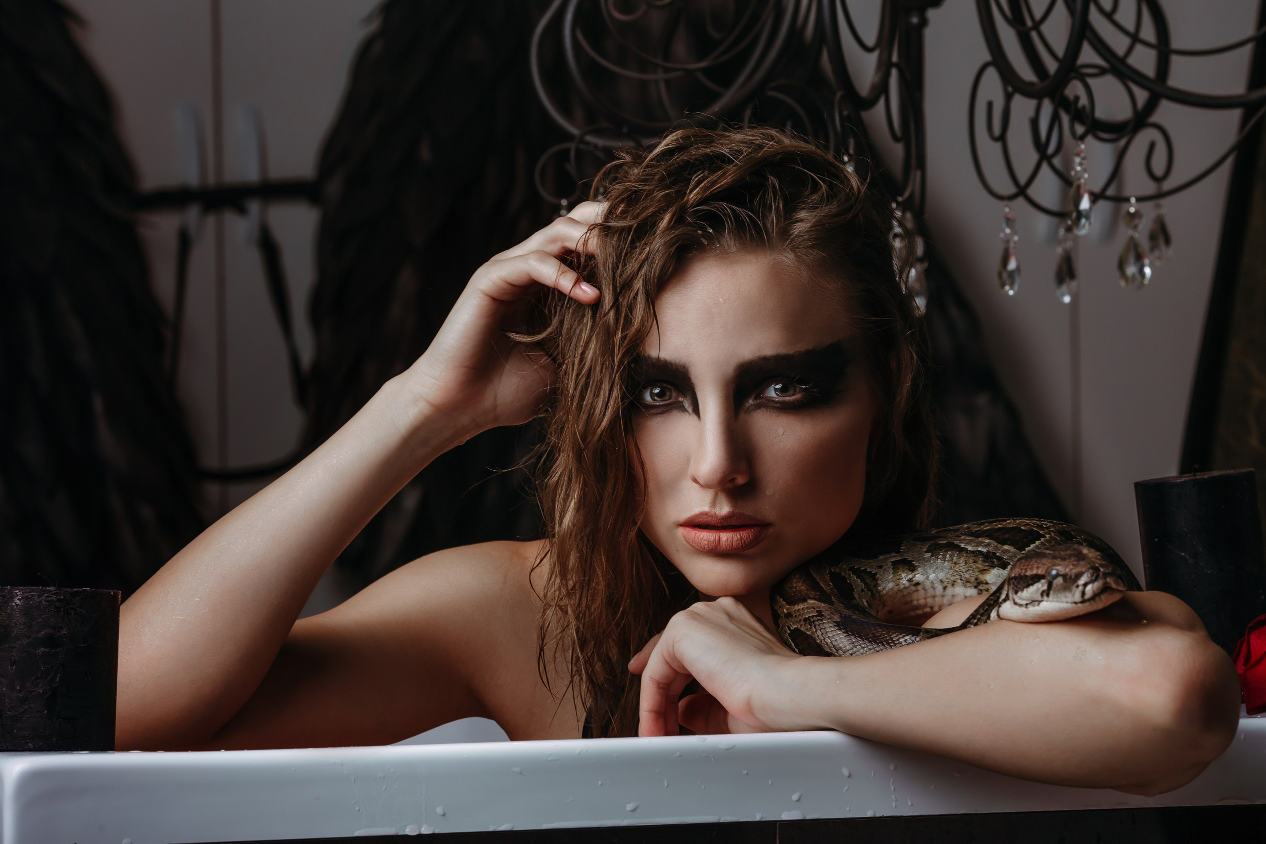 Змеи. Фотограф Новороссийск