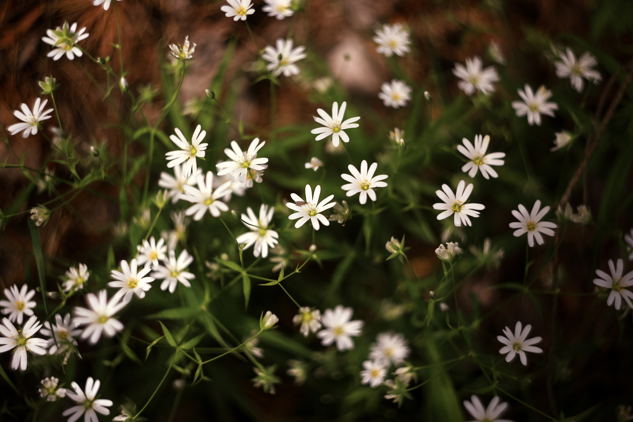 Магия обыкновенного. Фотограф-документалист и фототерапевт Настя Китаева. Город Москва