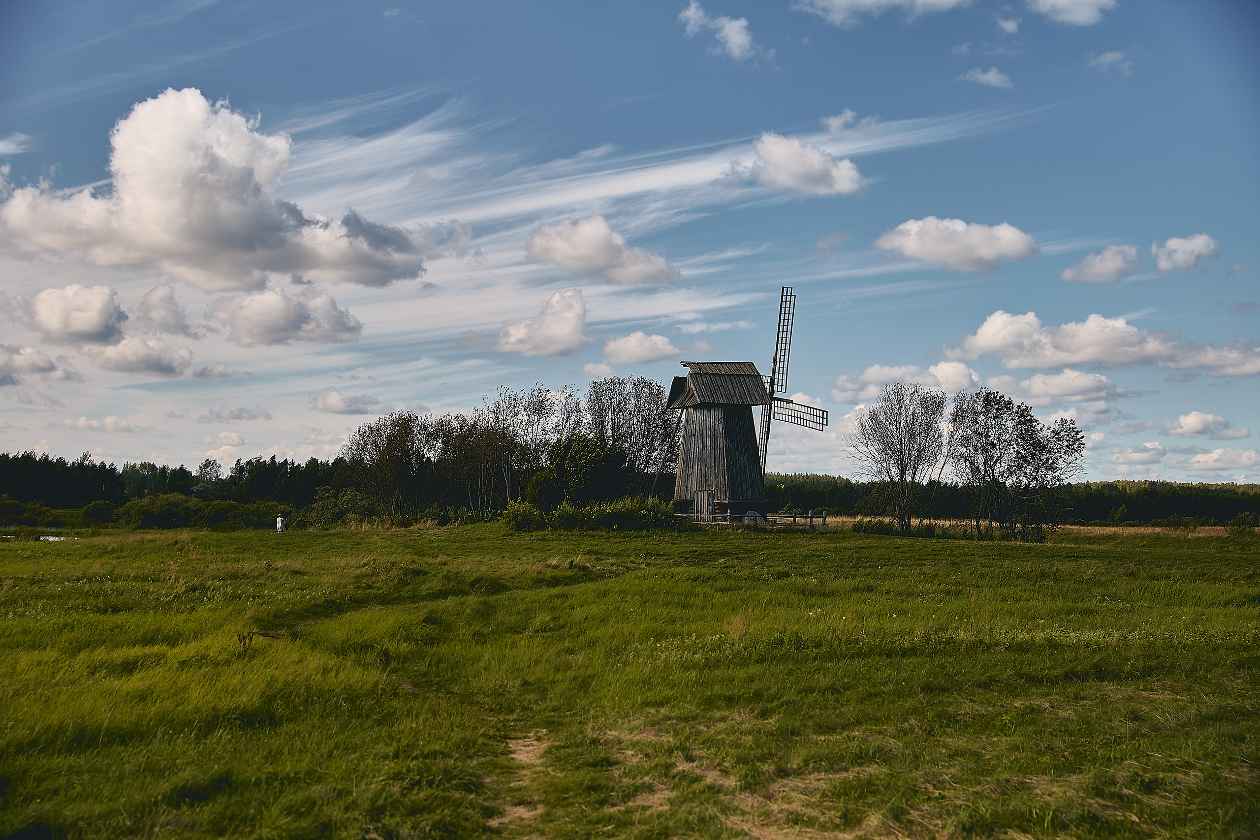 Пушкинские горы. Юлия Иванова. Фотограф для лучших моментов