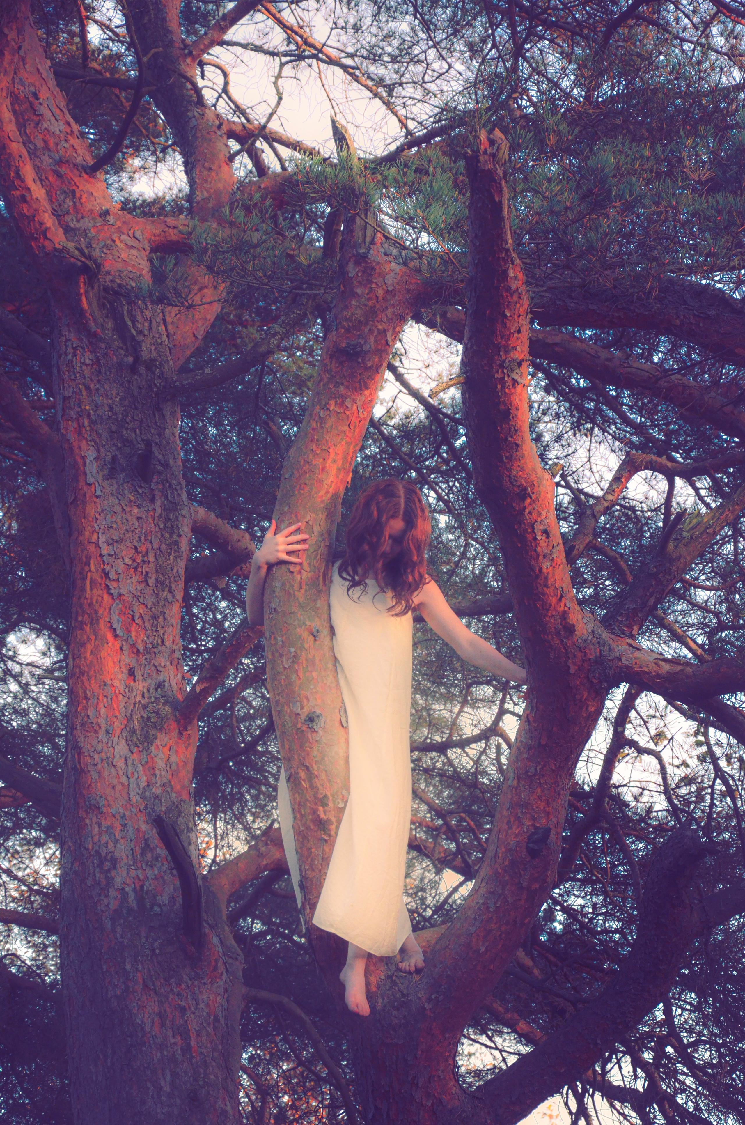 Фотограф СПб | Лесная фотосессия