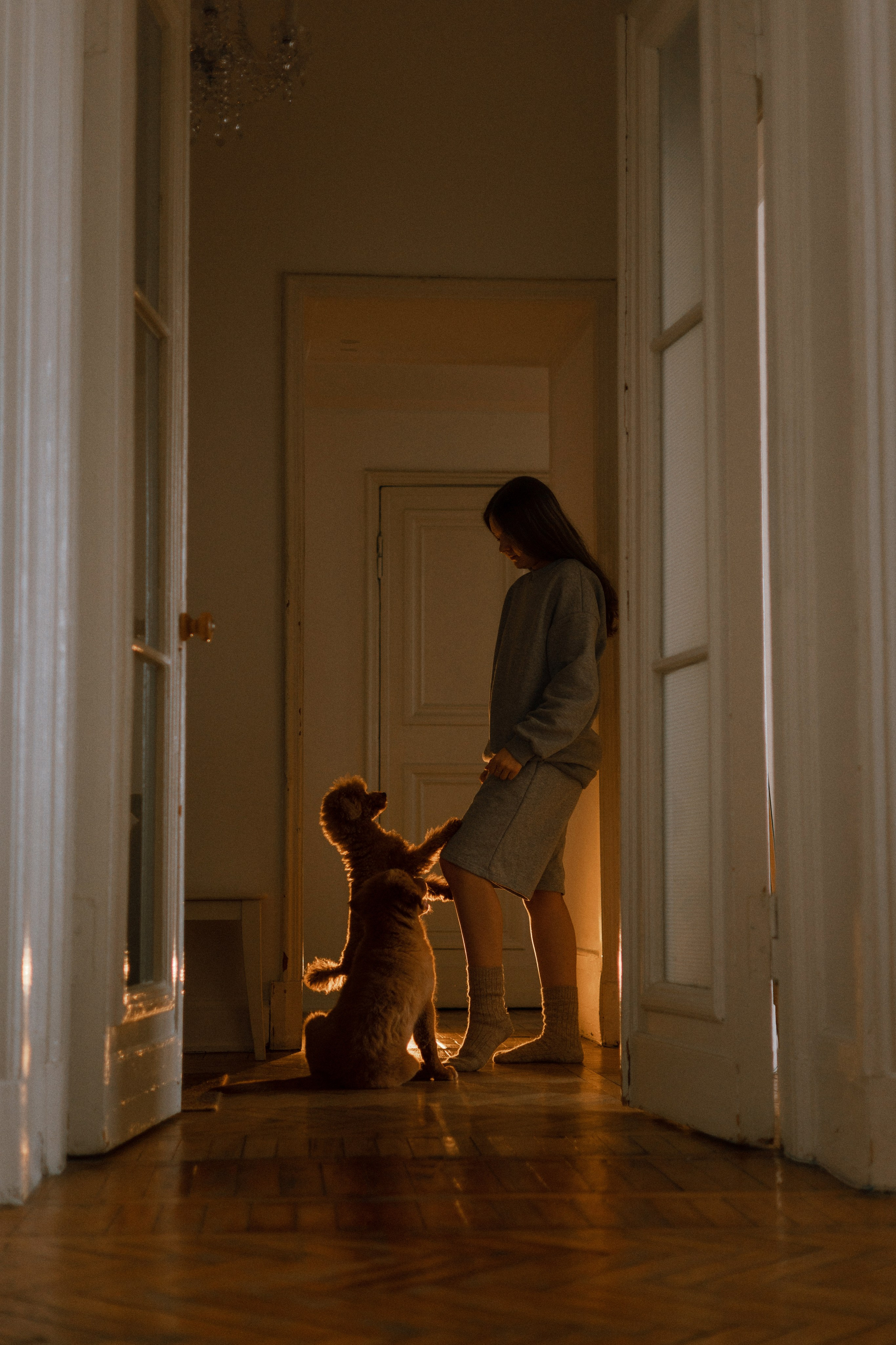 Маша, Одди и Нэвил. Фотограф-анималист Богданова Полина