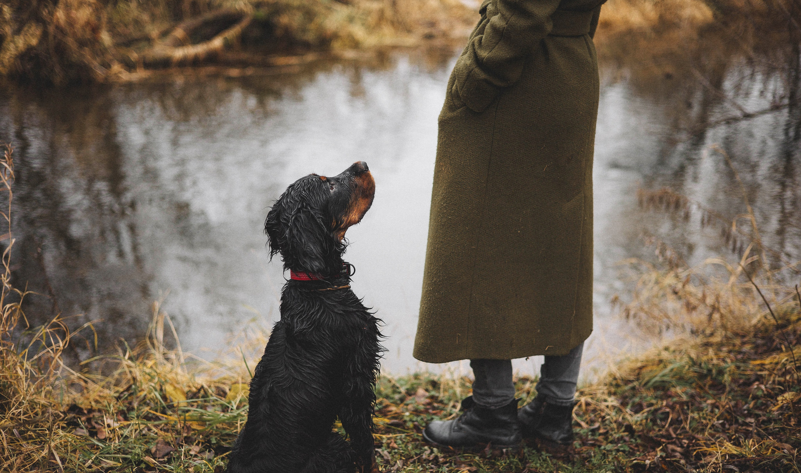 Даша, Глеб, Барс и Бруно. Фотограф-анималист Богданова Полина