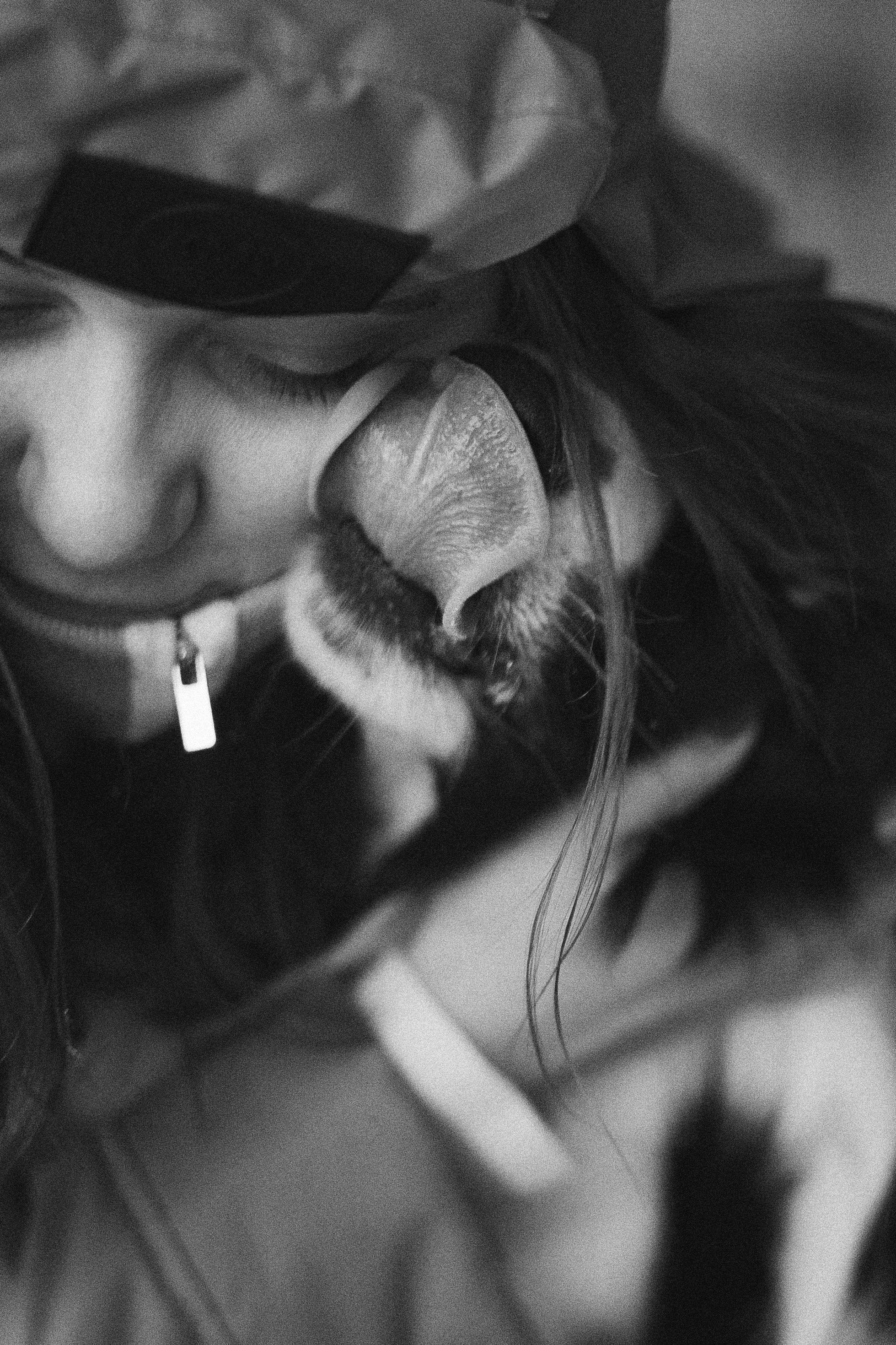 Маша, Рэм и Ньютон. Фотограф-анималист Богданова Полина