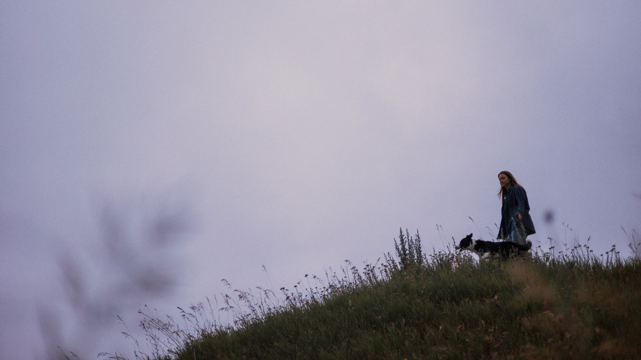 Аделя, Вандер, Шайна и Бая. Фотограф-анималист Богданова Полина