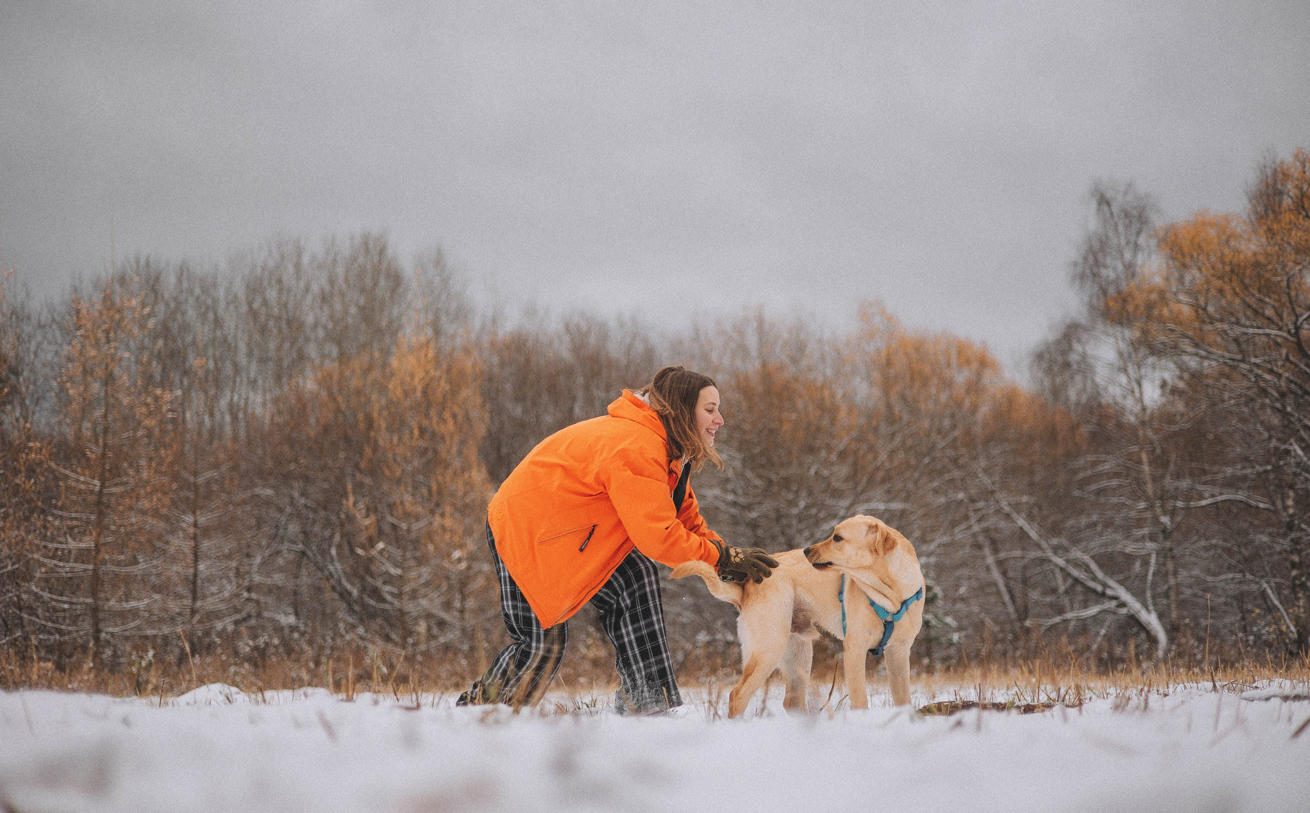 Маргарита и Варди. Фотограф-анималист Богданова Полина