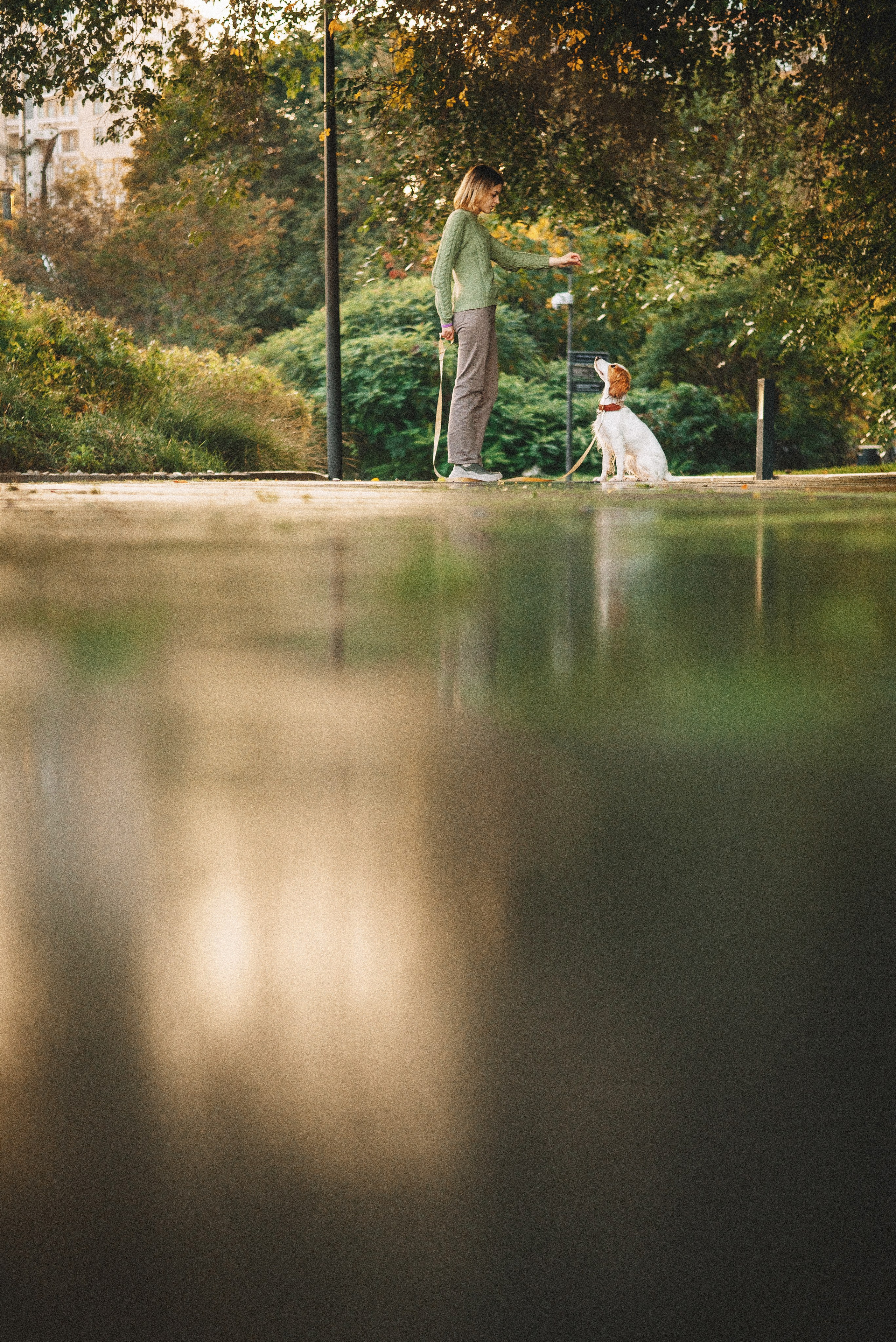 Маша и Вега. Фотограф-анималист Богданова Полина