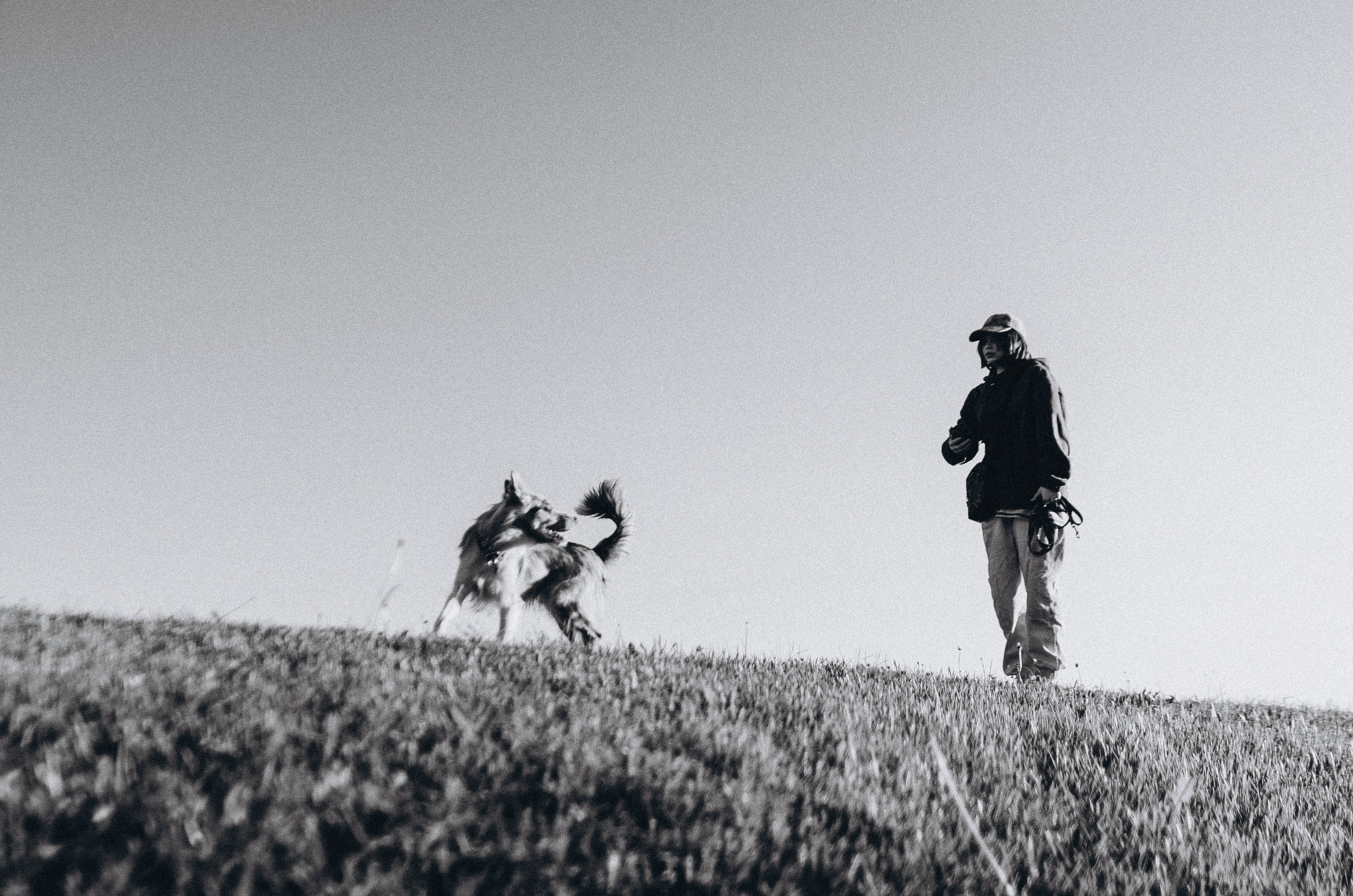 Аня и Дэймон. Фотограф-анималист Богданова Полина