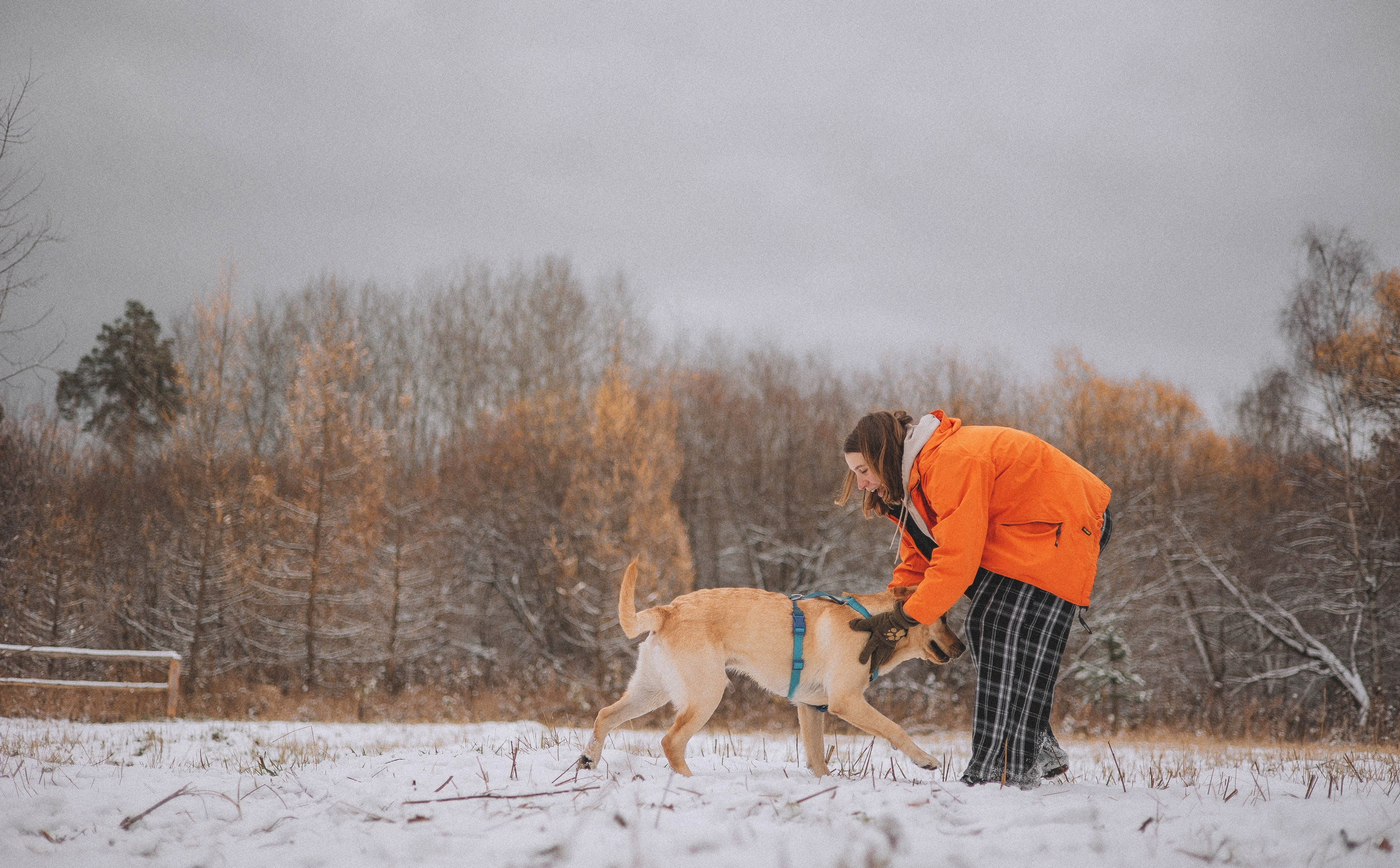 Маргарита и Варди. Фотограф-анималист Богданова Полина