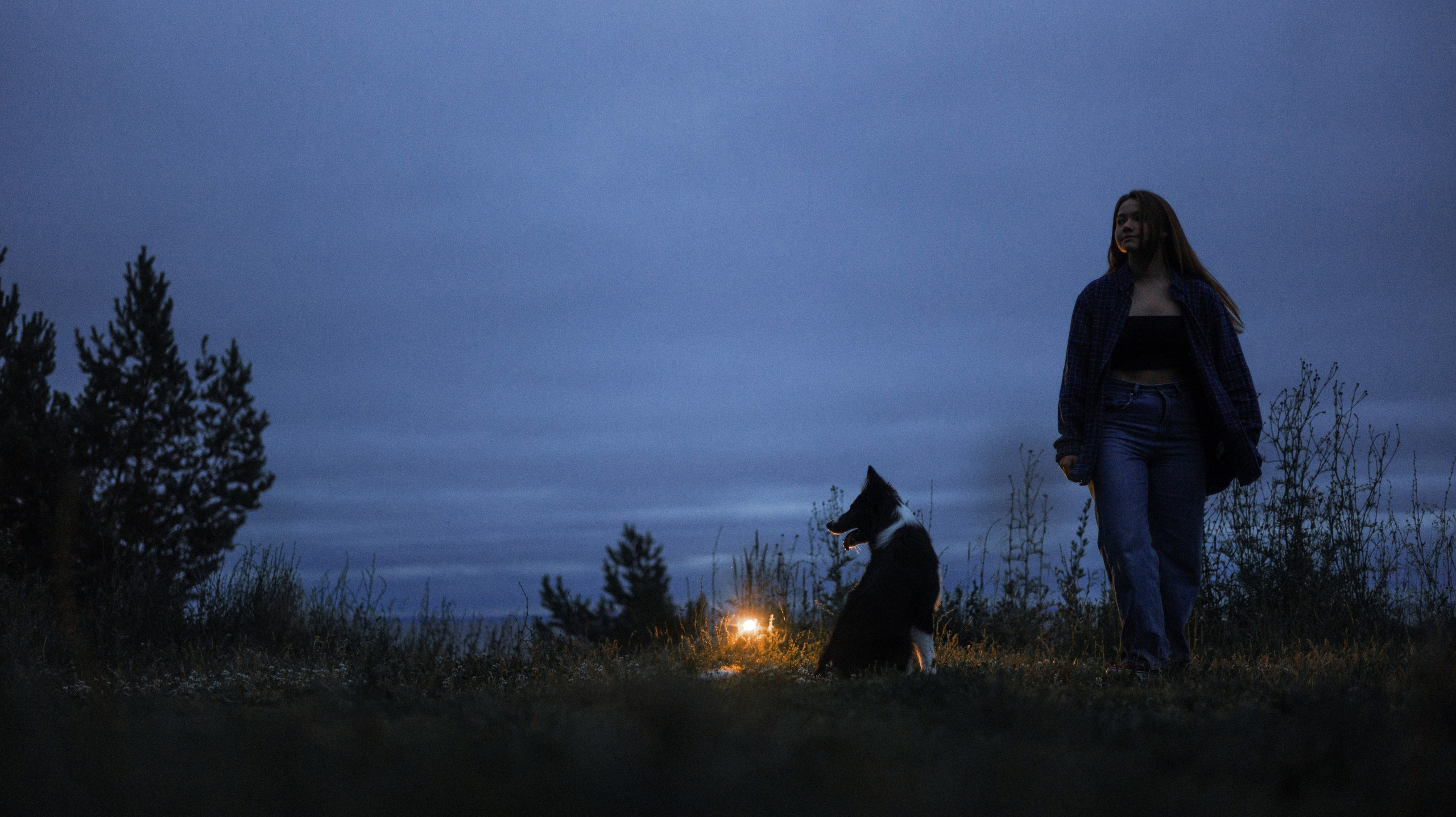 Аделя, Вандер, Шайна и Бая. Фотограф-анималист Богданова Полина
