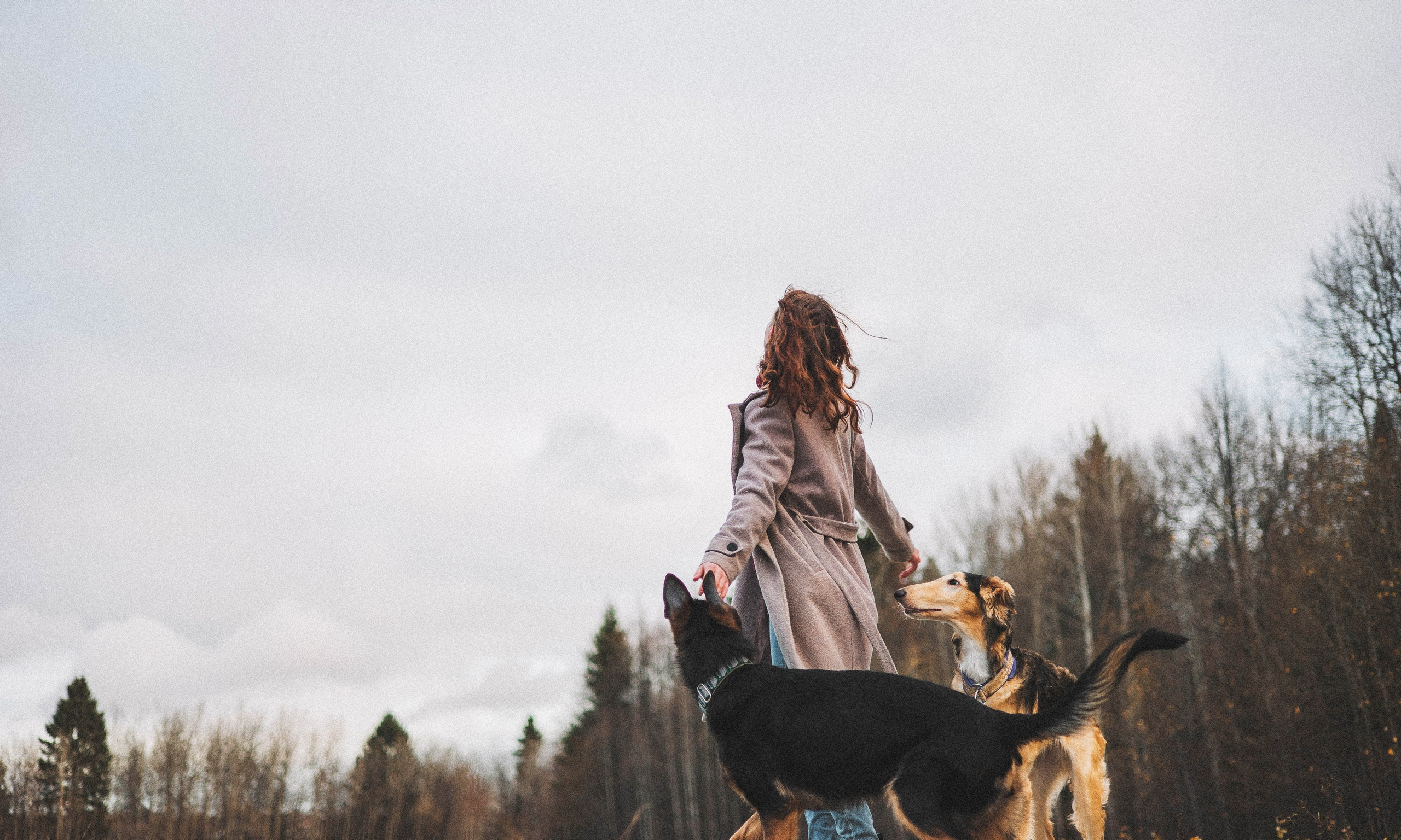 Алена, Леви и Микаса. Фотограф-анималист Богданова Полина