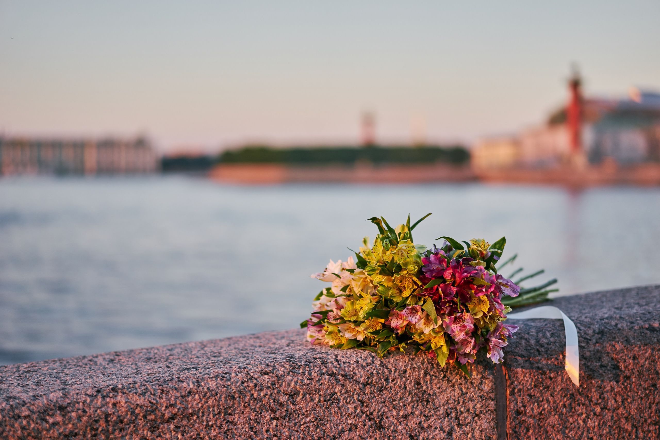 Alex & Darya. Vutitsa