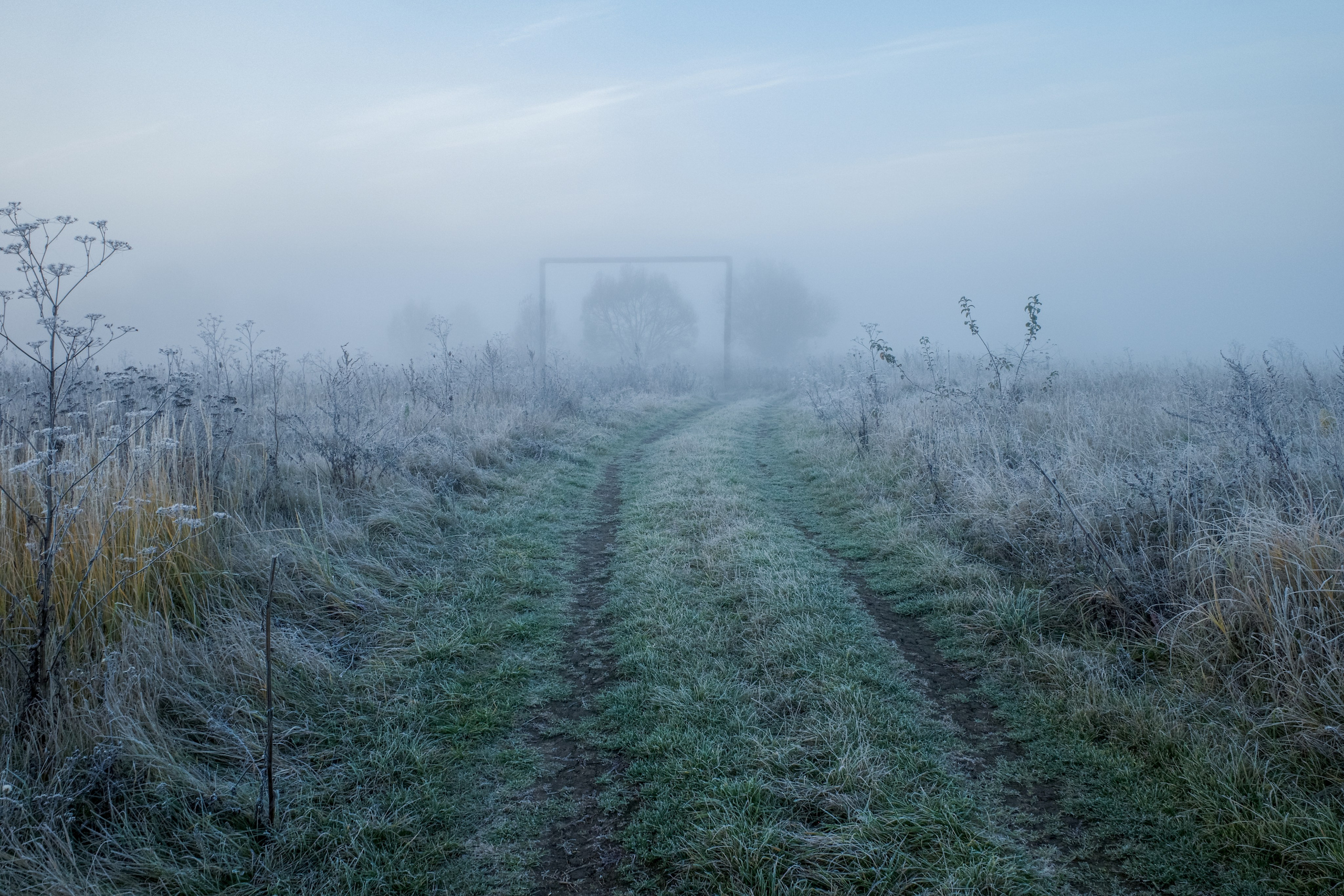 О границах реального. Междисциплинарный художник Екатерина Старовойтова