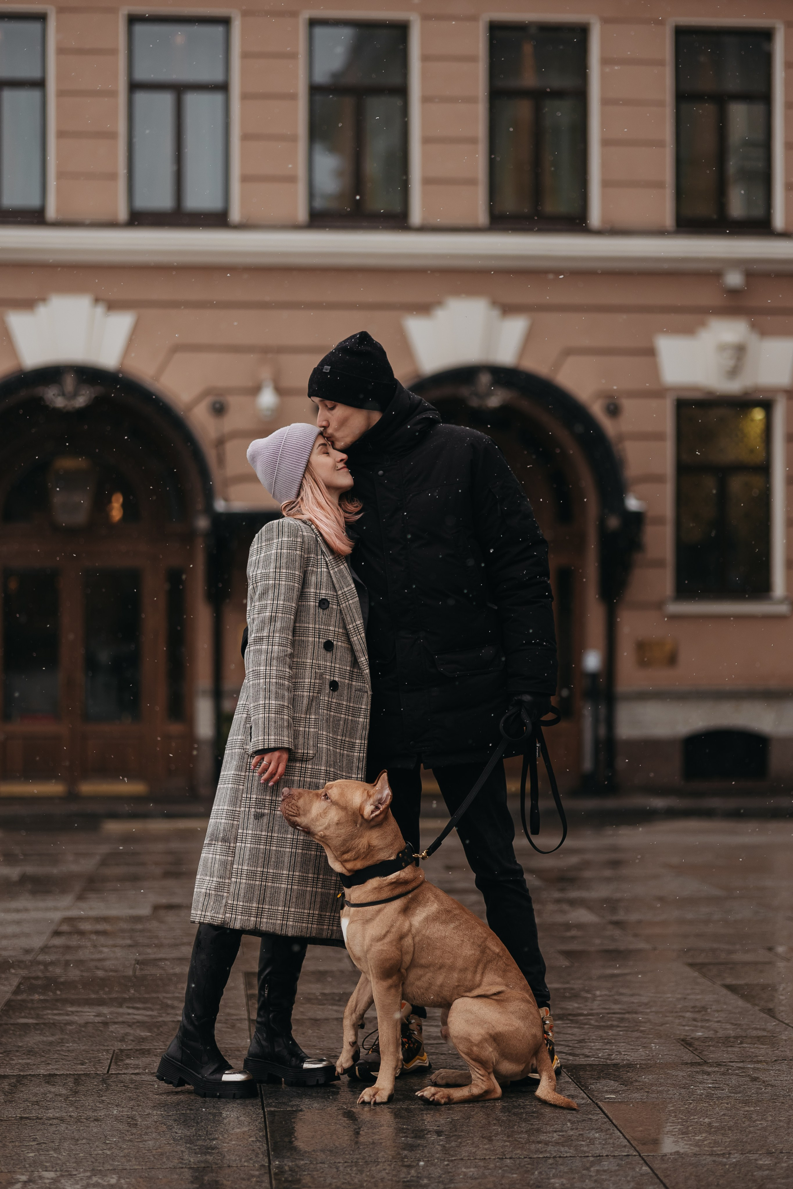 Саша, Света и Ицар. Фотограф-анималист в Санкт-Петербурге Алина Яхонт