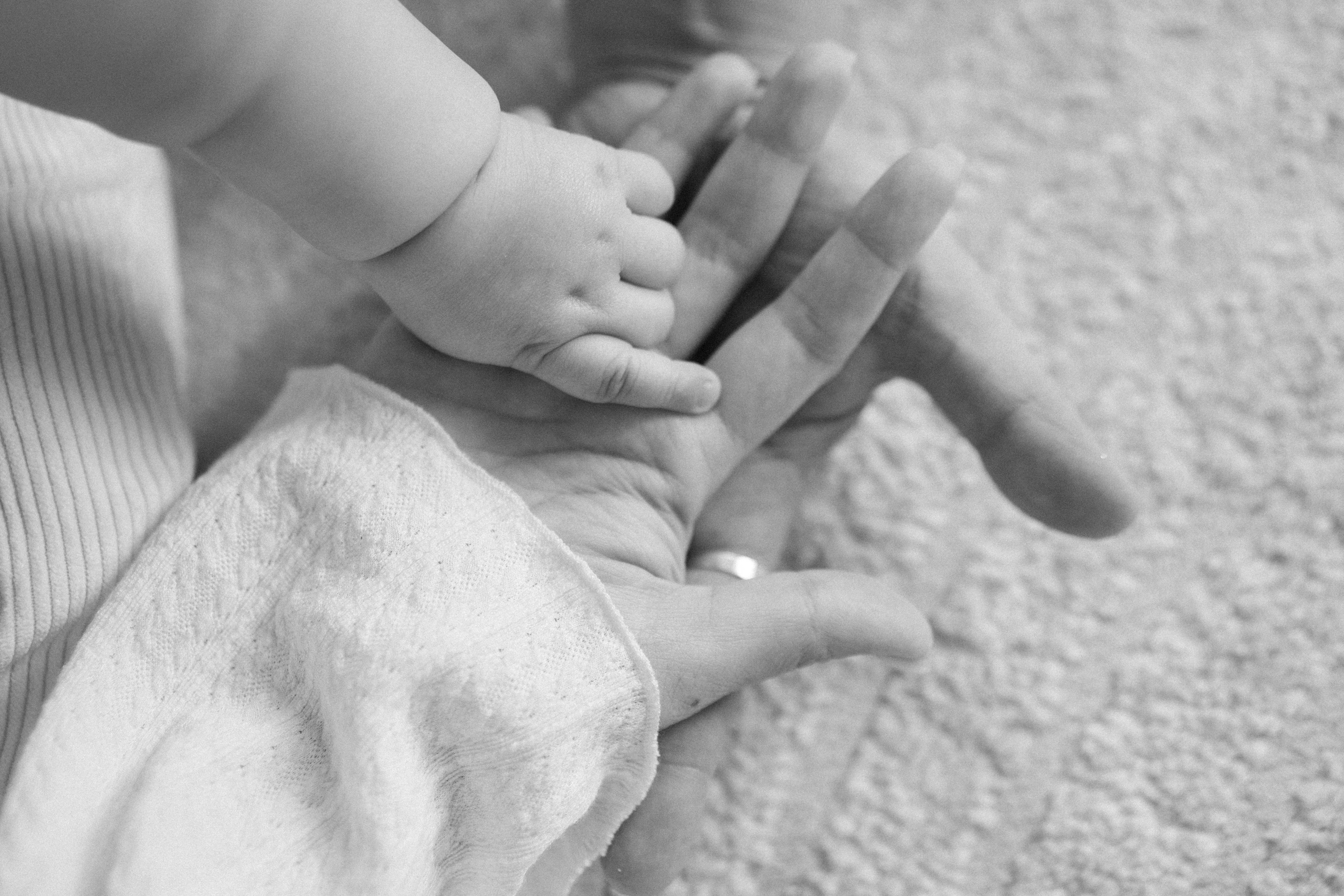 Новый год. Фотограф Москва Татьяна Гайдаржи