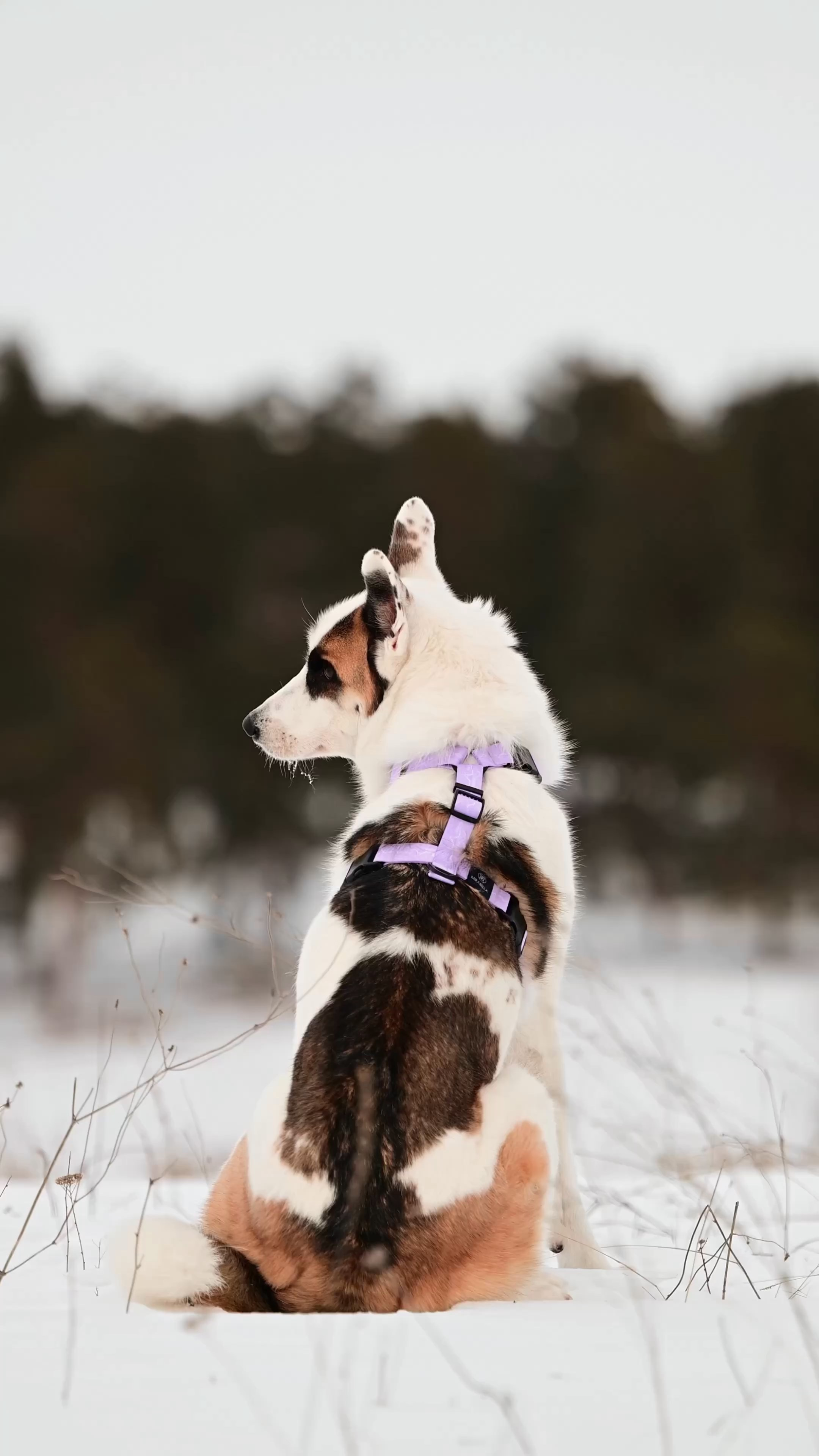 Видео рекламная/бренд. Мила Астахова